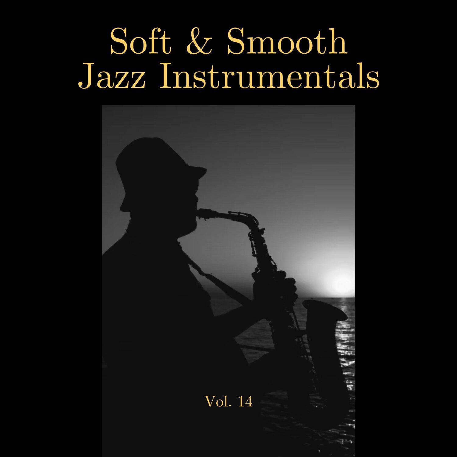 Постер альбома Soft & Smooth Jazz Instrumentals, Vol. 14