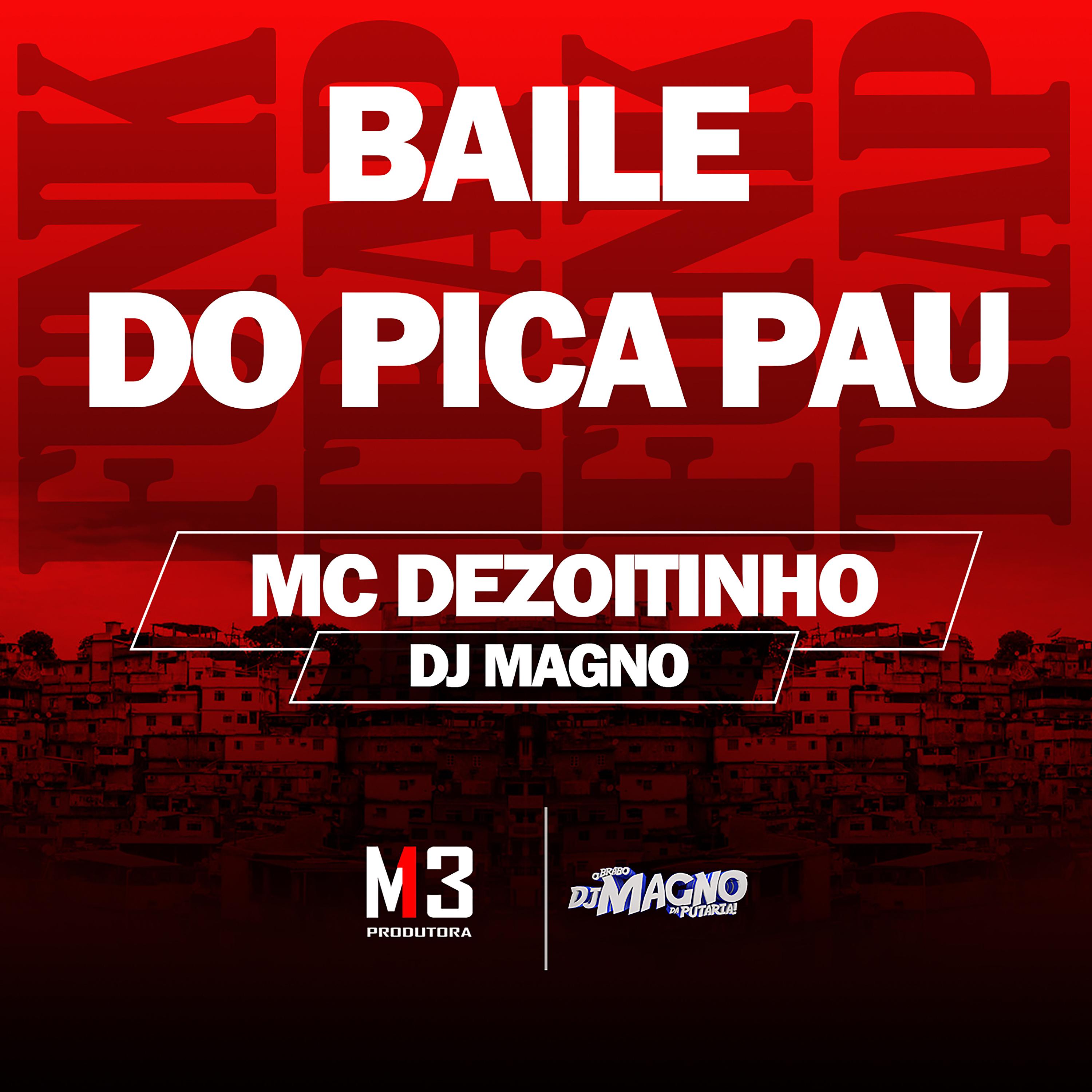 Постер альбома Baile do Pica Pau