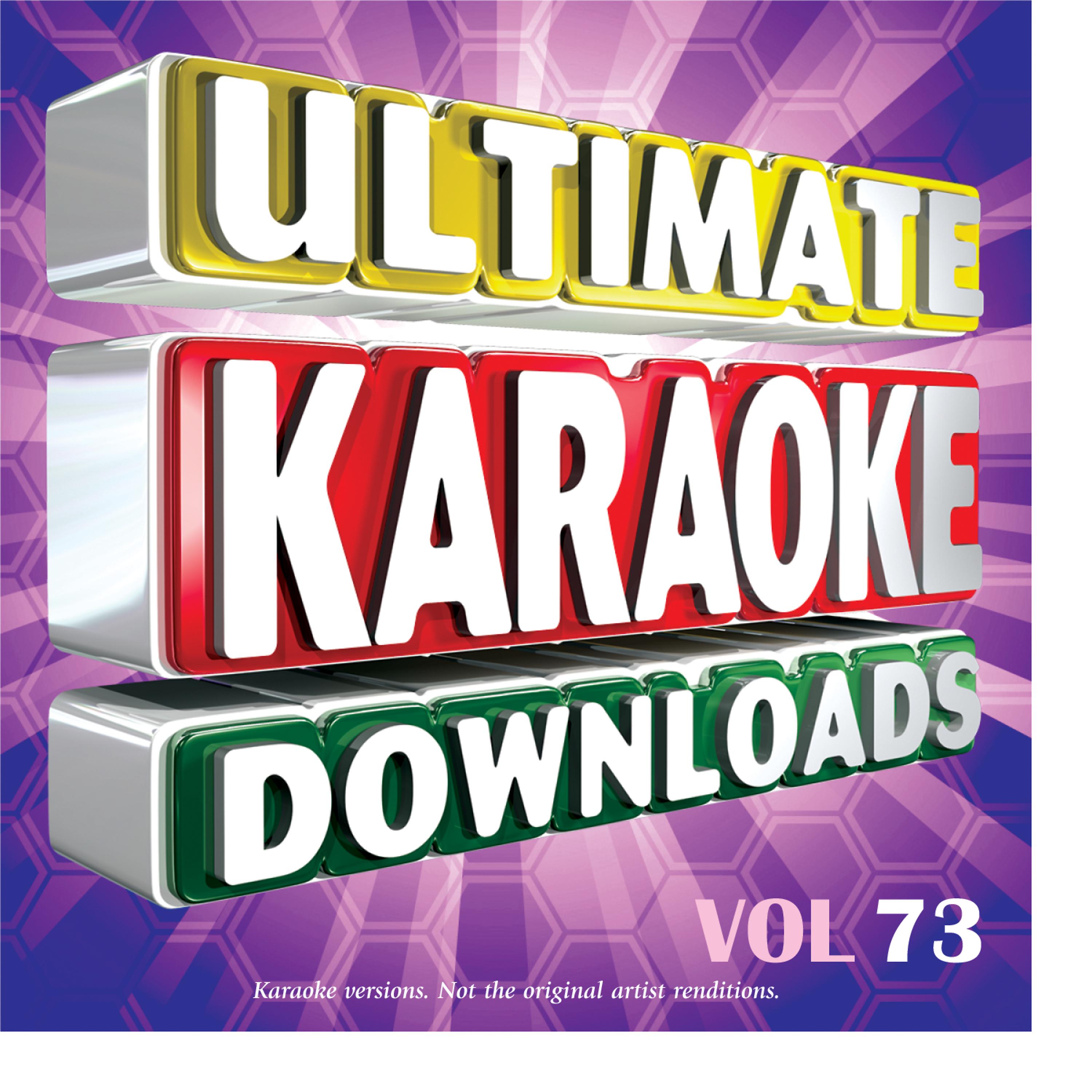 Постер альбома Ultimate Karaoke Downloads Vol.73