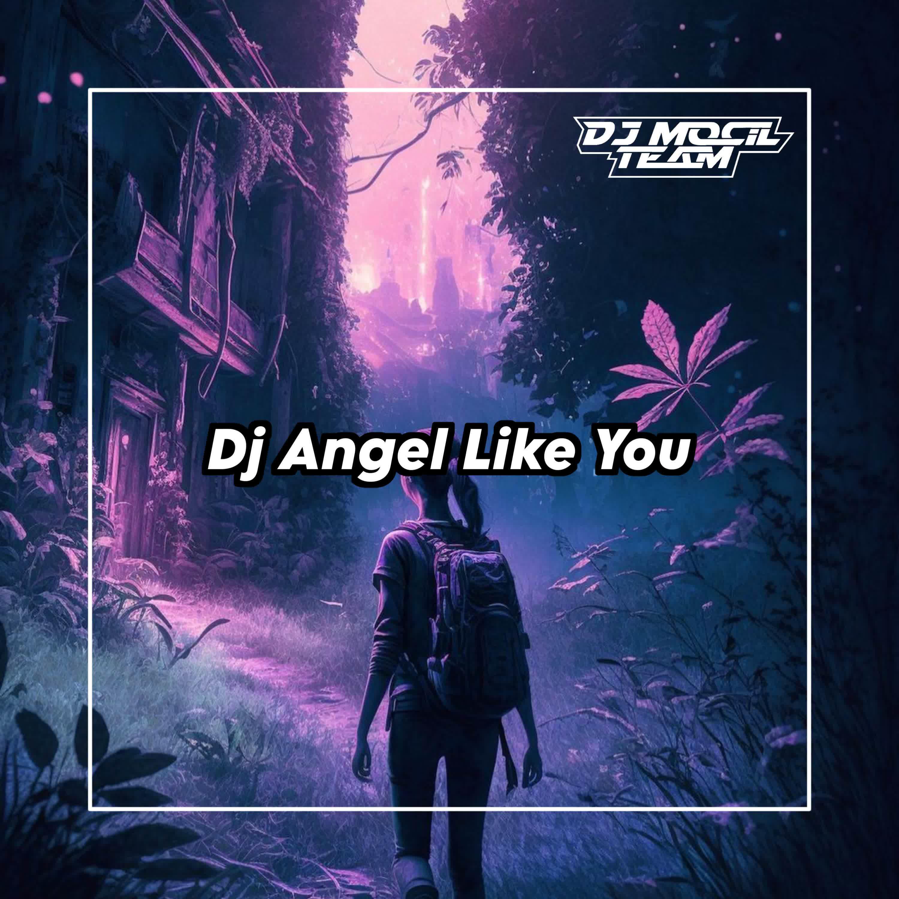 Постер альбома Dj Angel Like You Slow Remix