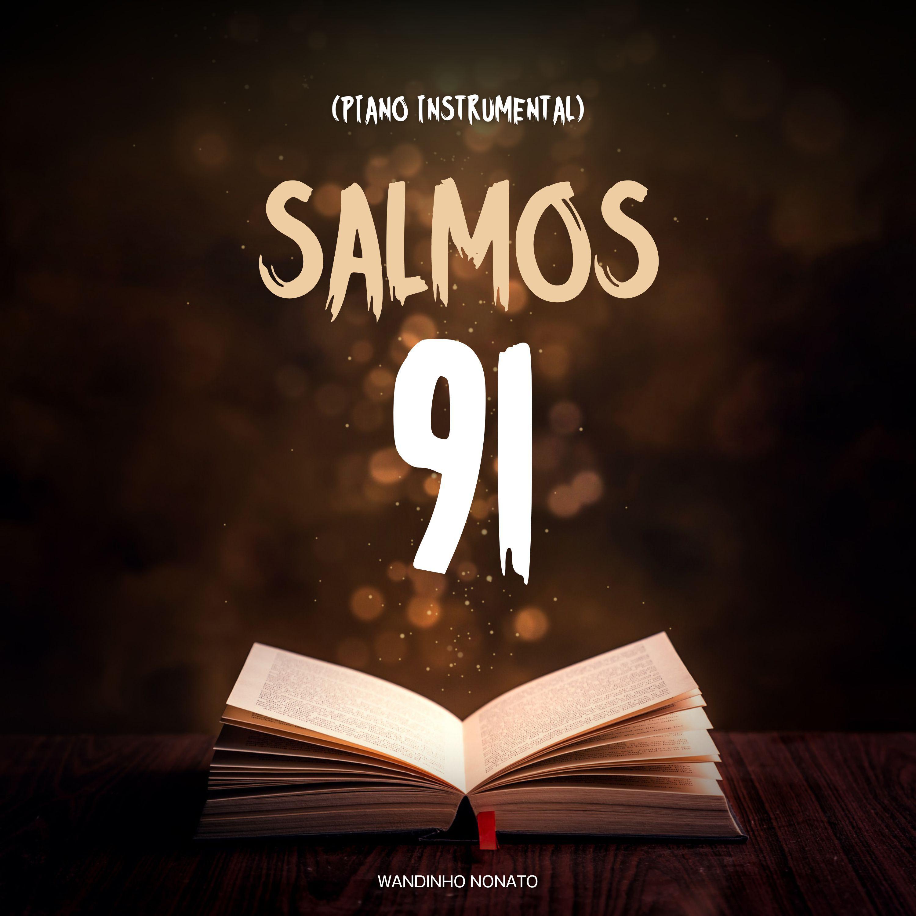 Постер альбома Salmos 91 (Piano Instrumental)