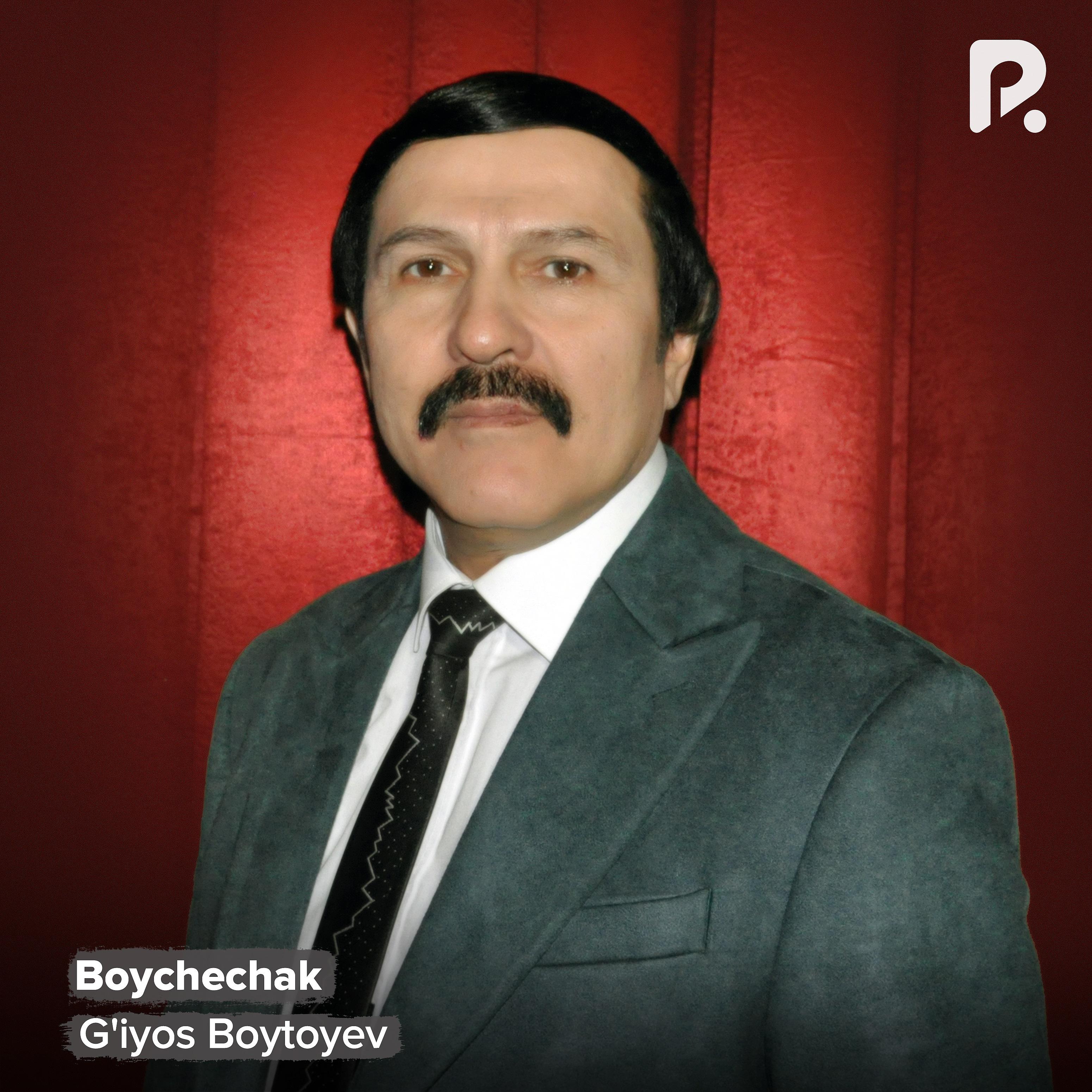 Постер альбома Boychechak