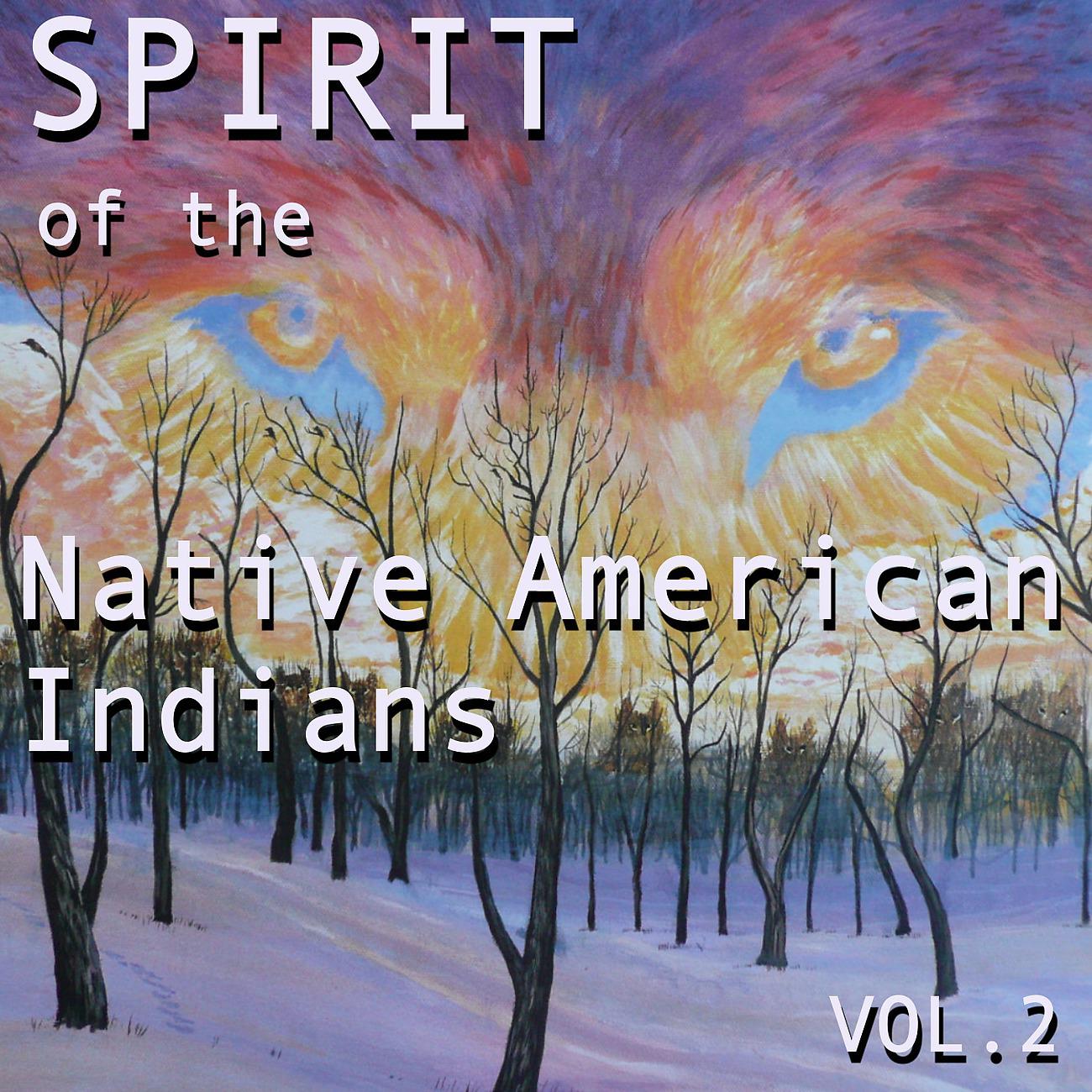 Постер альбома Spirit of the Native American Indians, Vol. 2