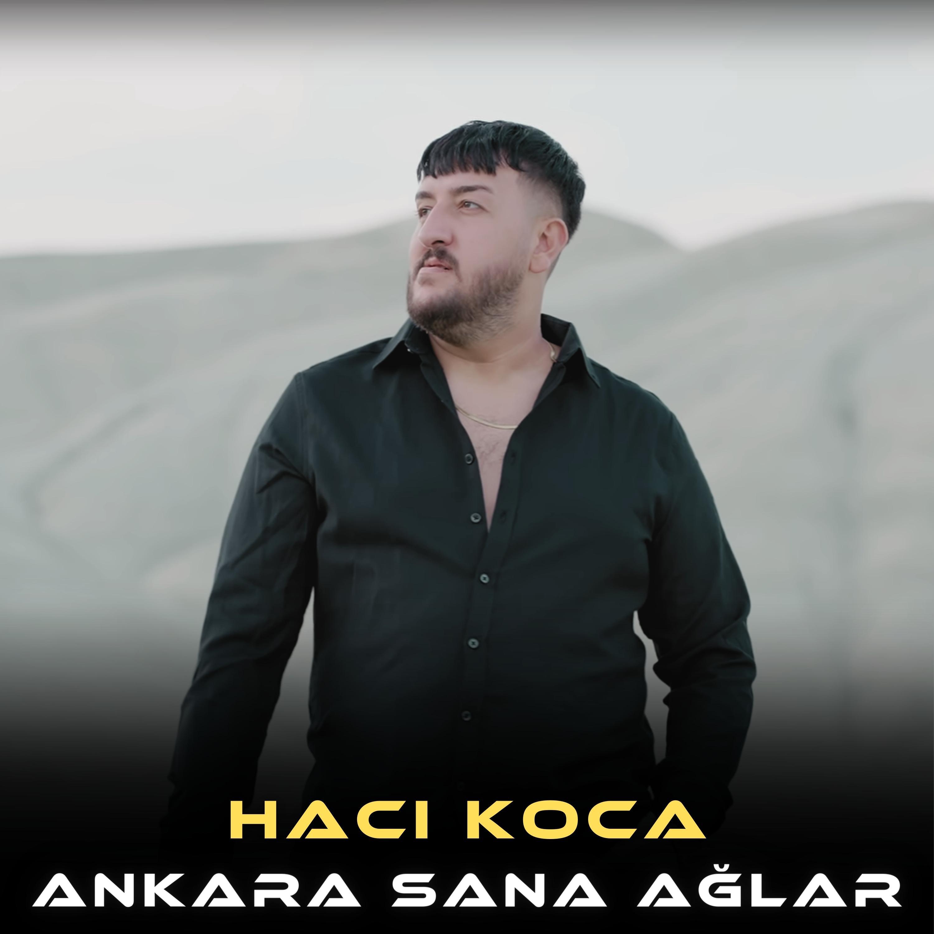 Постер альбома Ankara Sana Ağlar