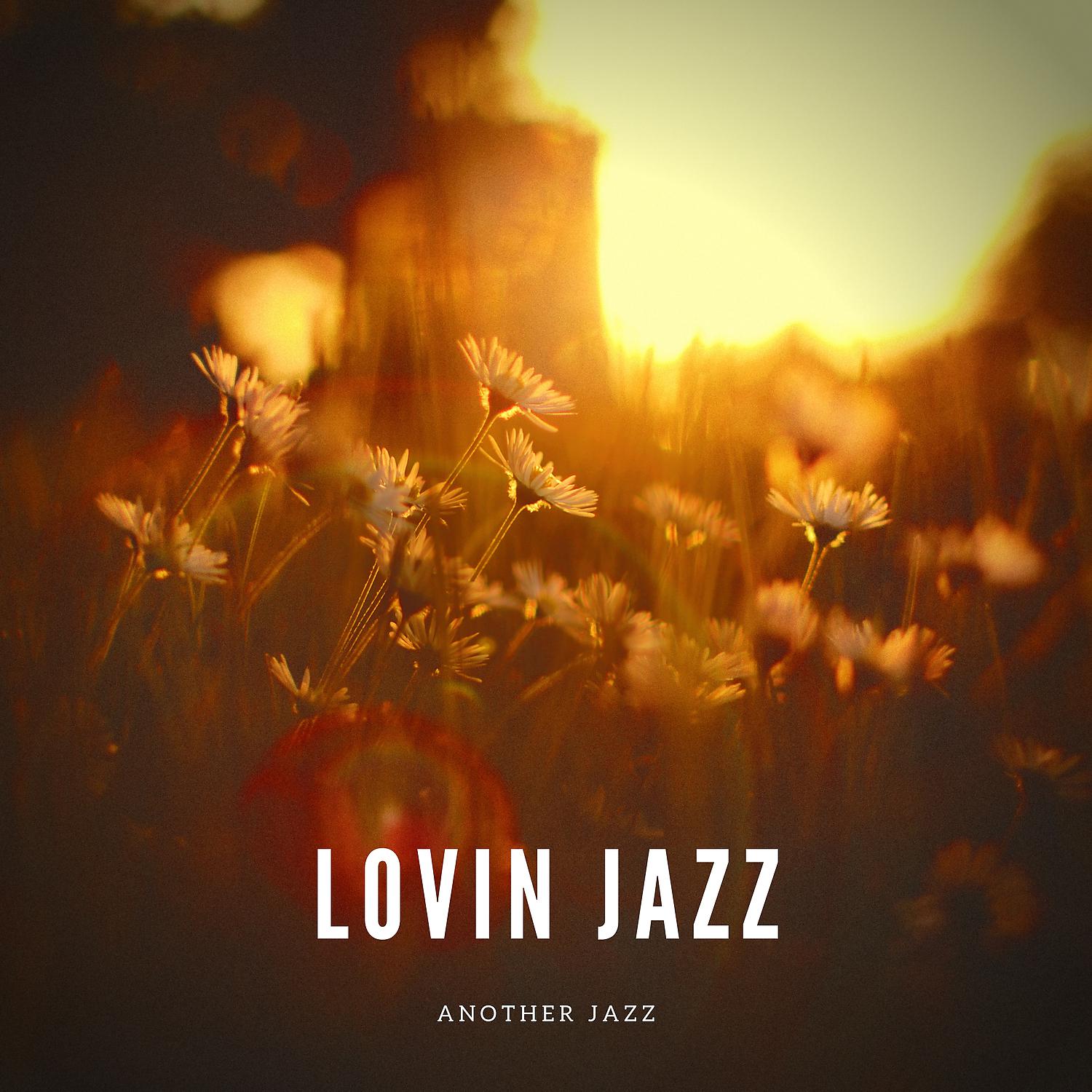 Постер альбома Lovin Jazz