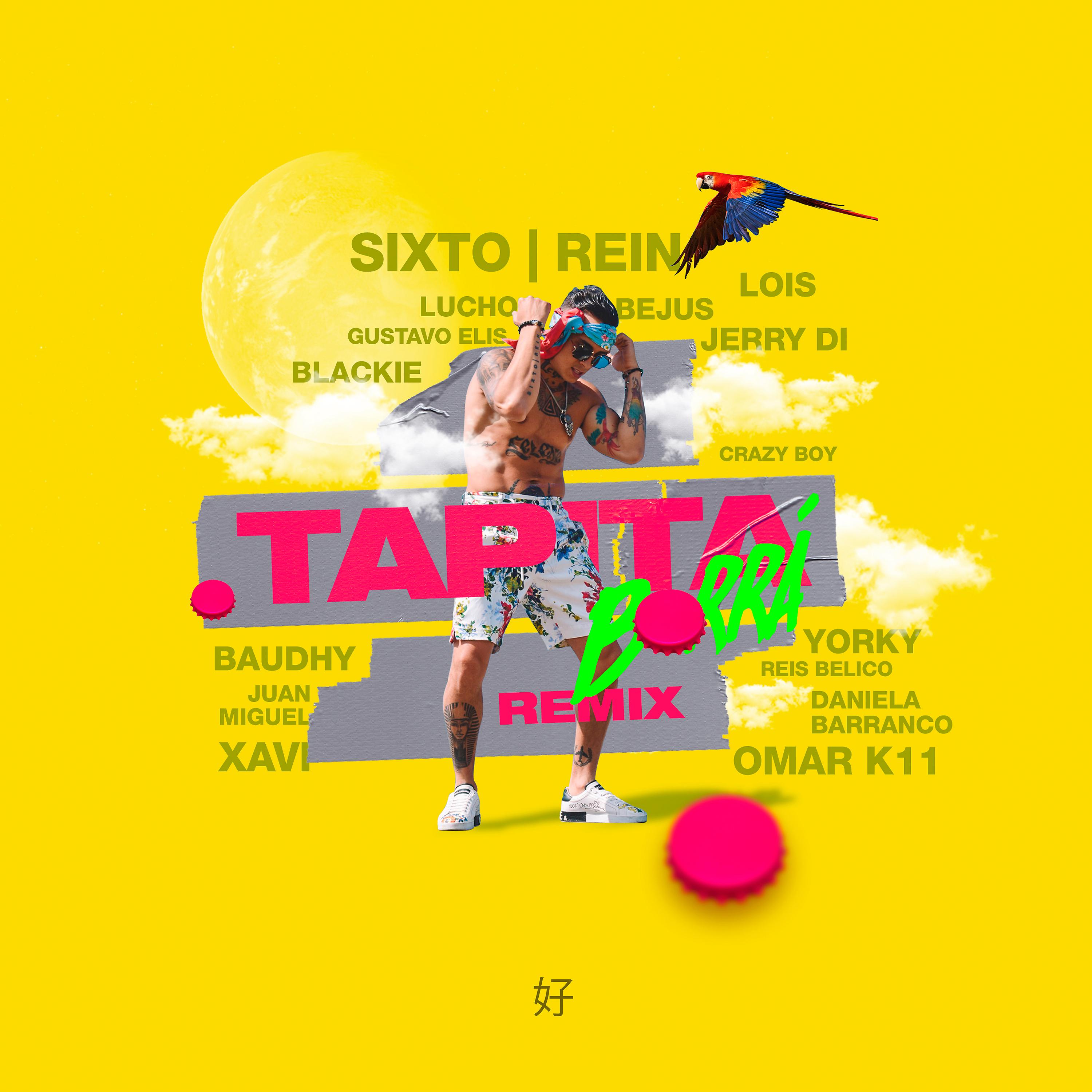 Постер альбома Tapita Borrá (Remix)