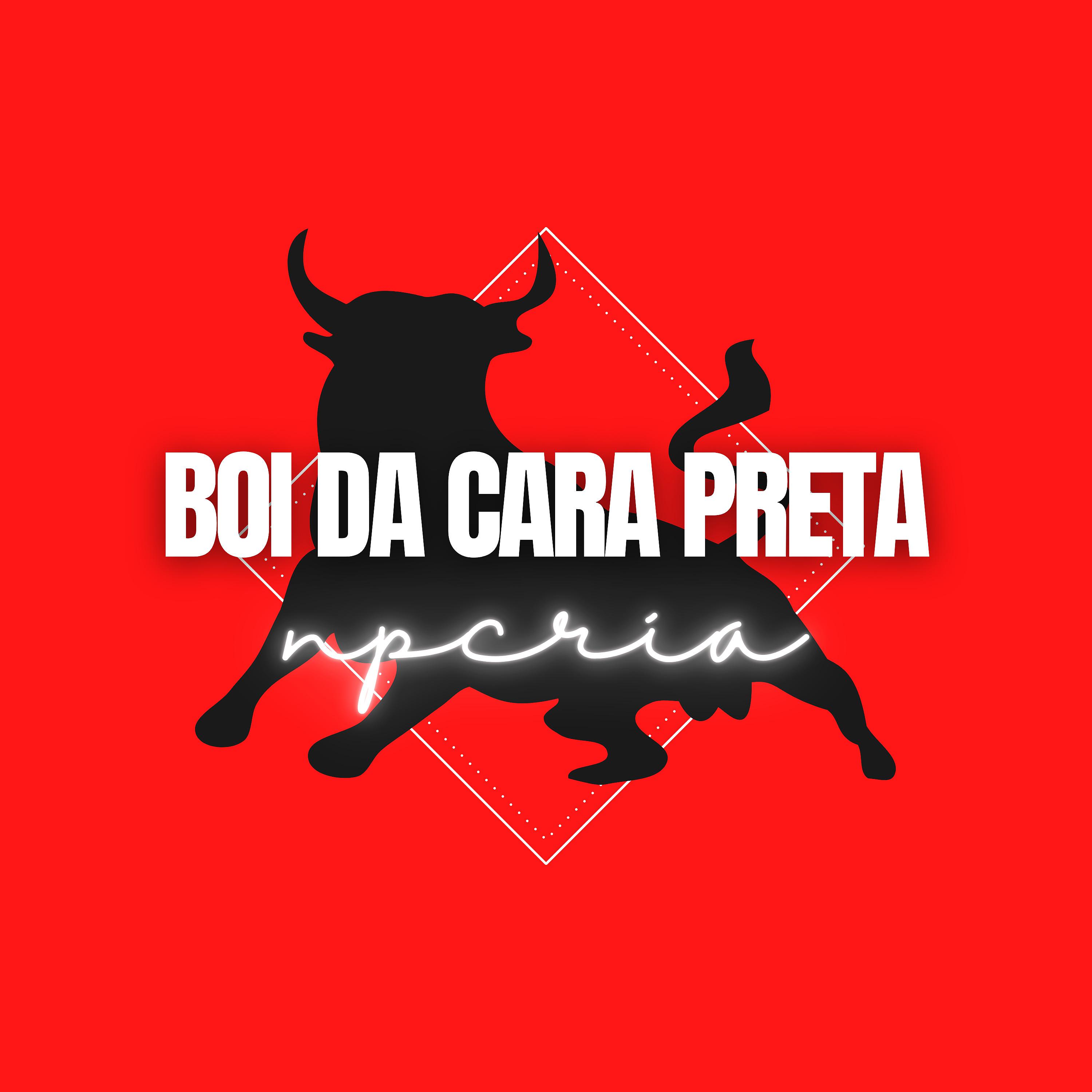 Постер альбома Boi da Cara Preta