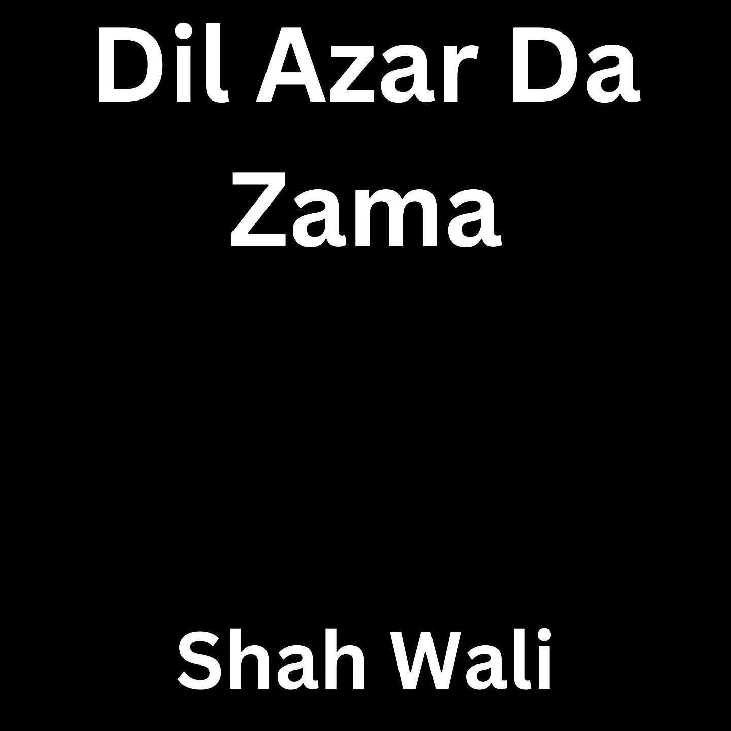 Постер альбома Dil Azar Da Zama