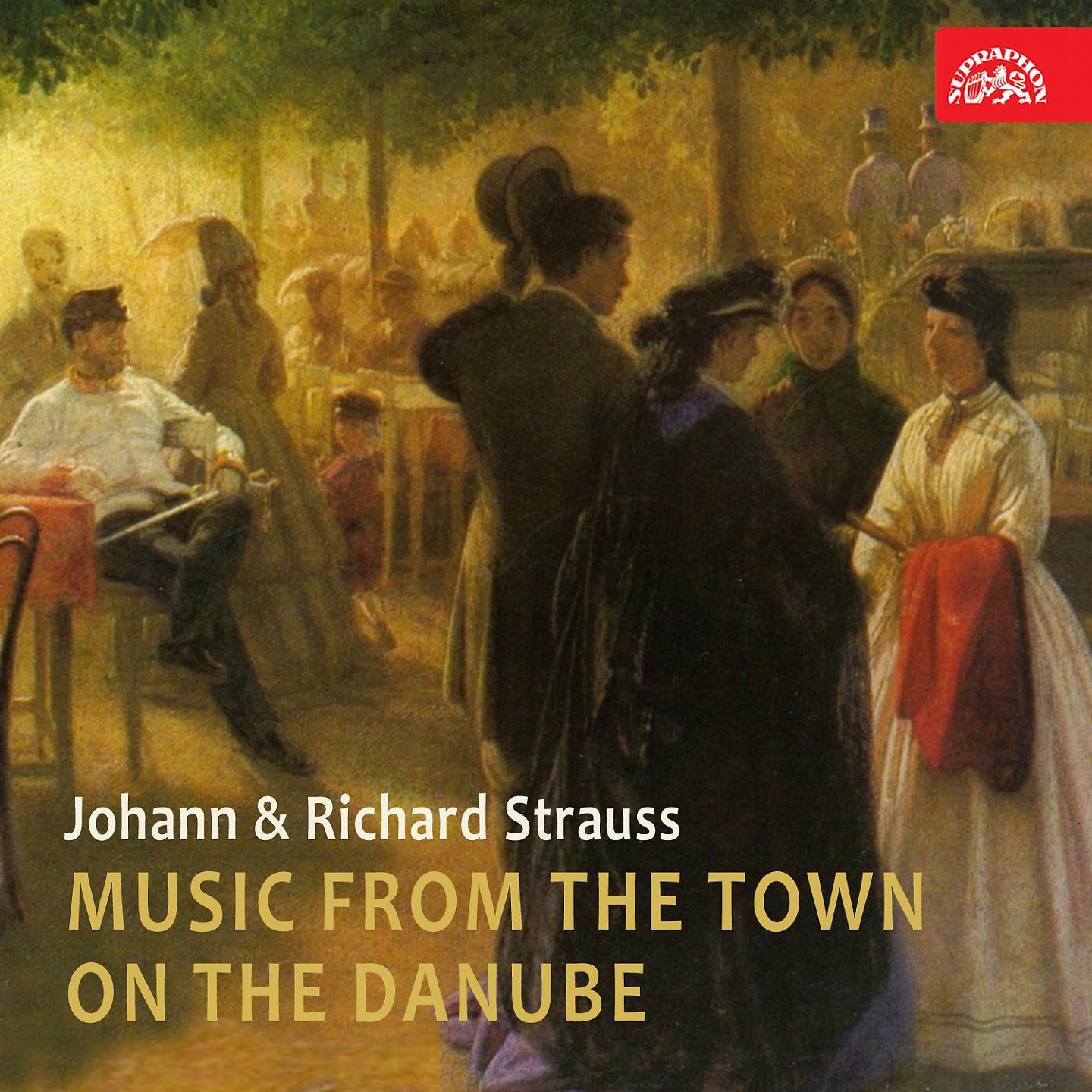 Постер альбома Music from the Town on the Danube