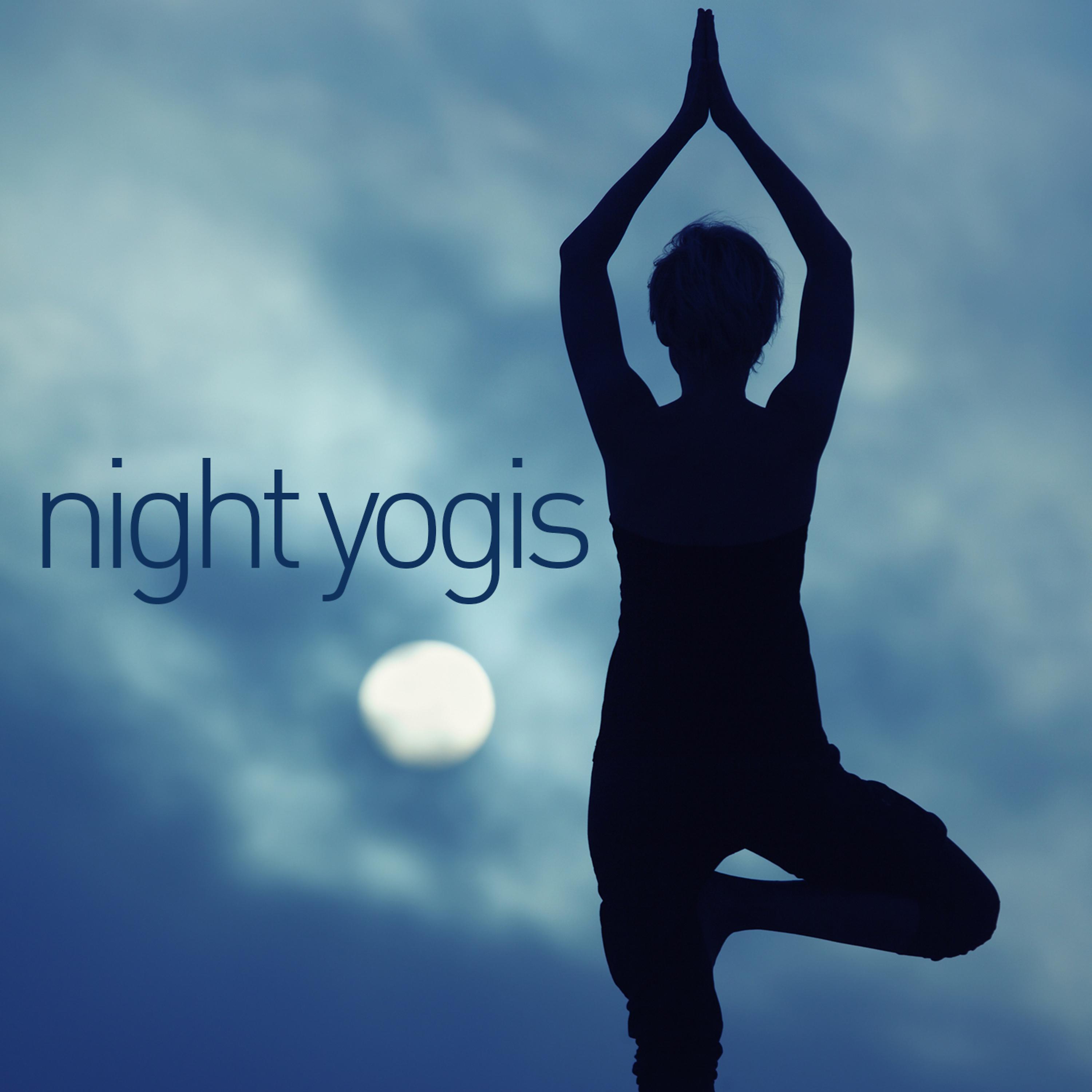Постер альбома Night Yogis