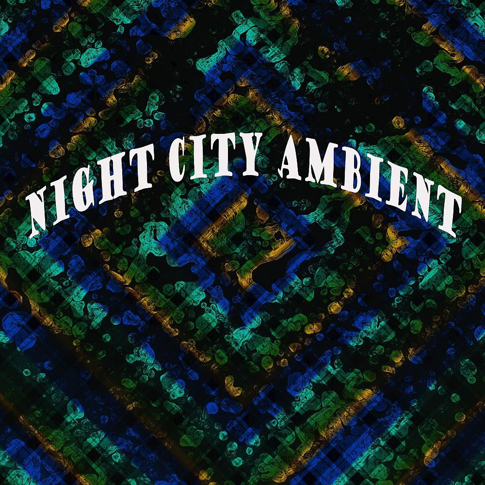 Постер альбома Night City Ambient