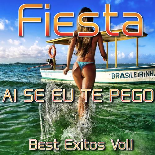 Постер альбома Fiesta Ai Se Eu Te Pego, Vol. 1