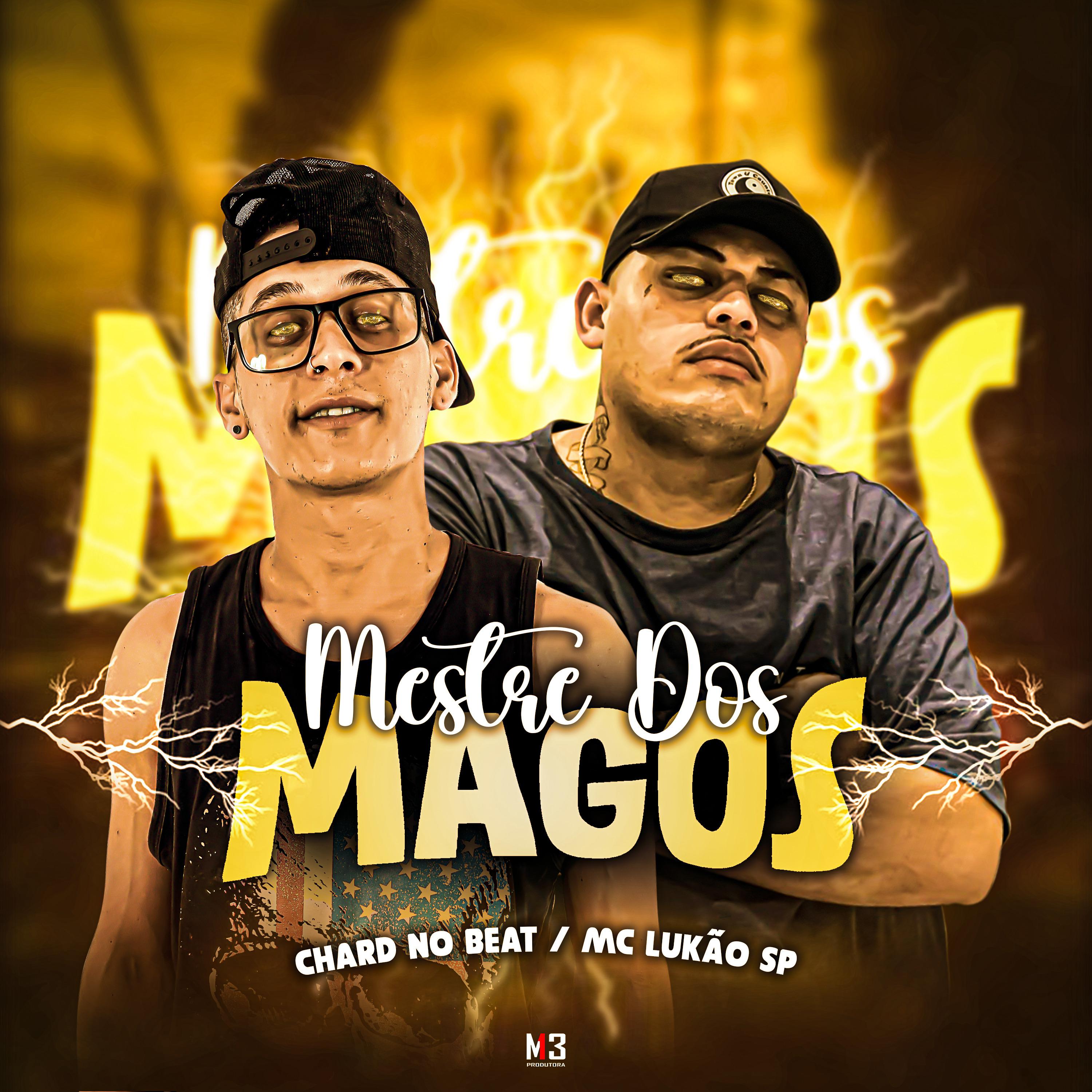 Постер альбома Mestre dos Magos