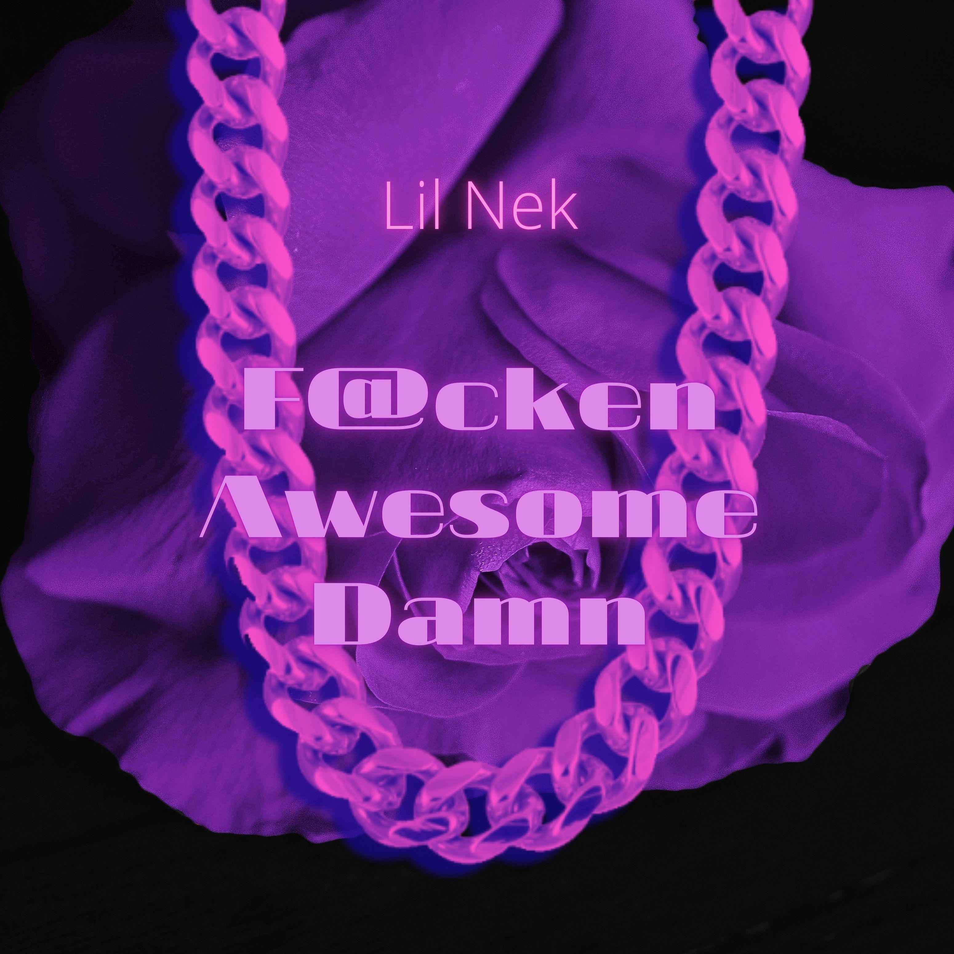 Постер альбома Fucken Awesome Damn