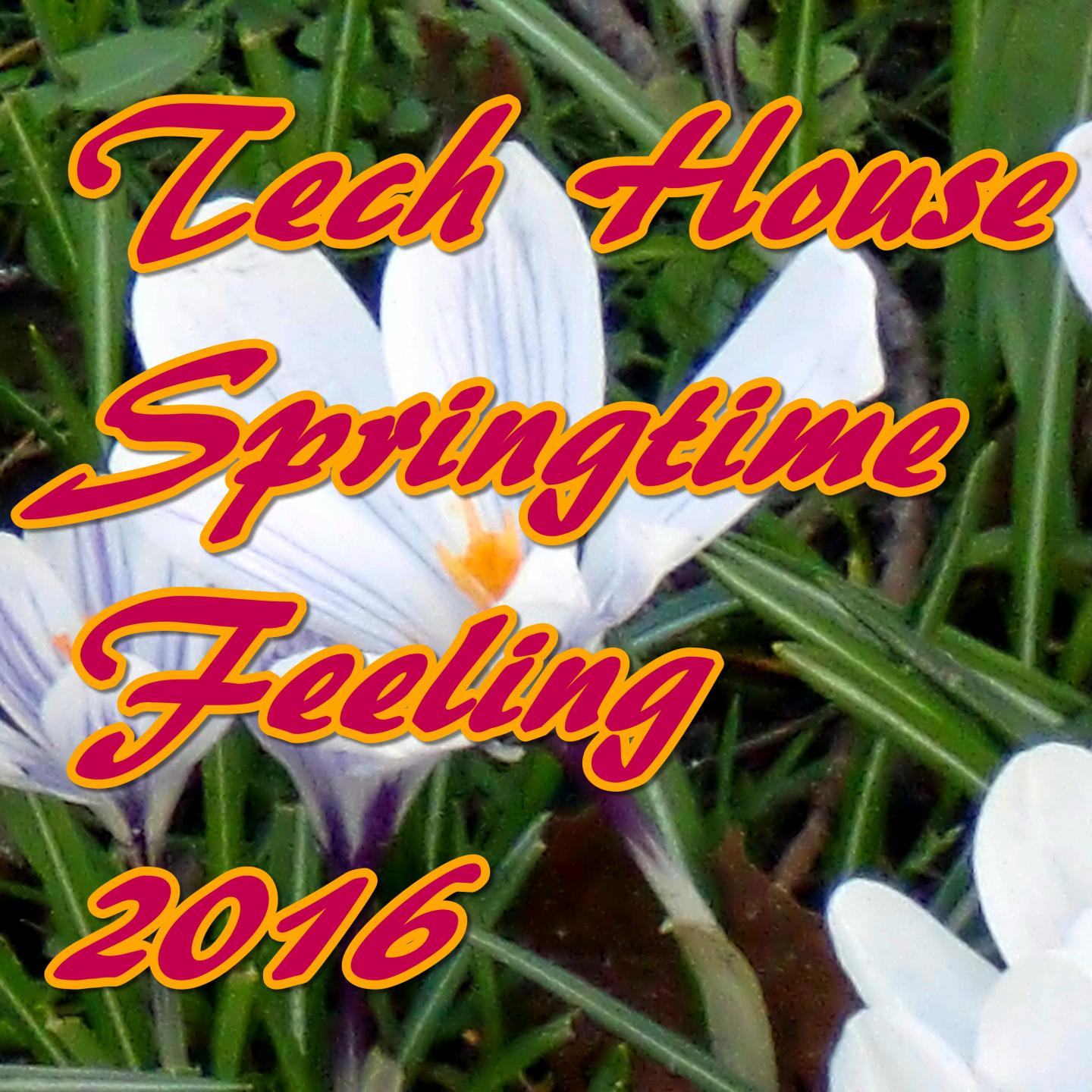 Постер альбома Tech House Springtime Feeling 2016