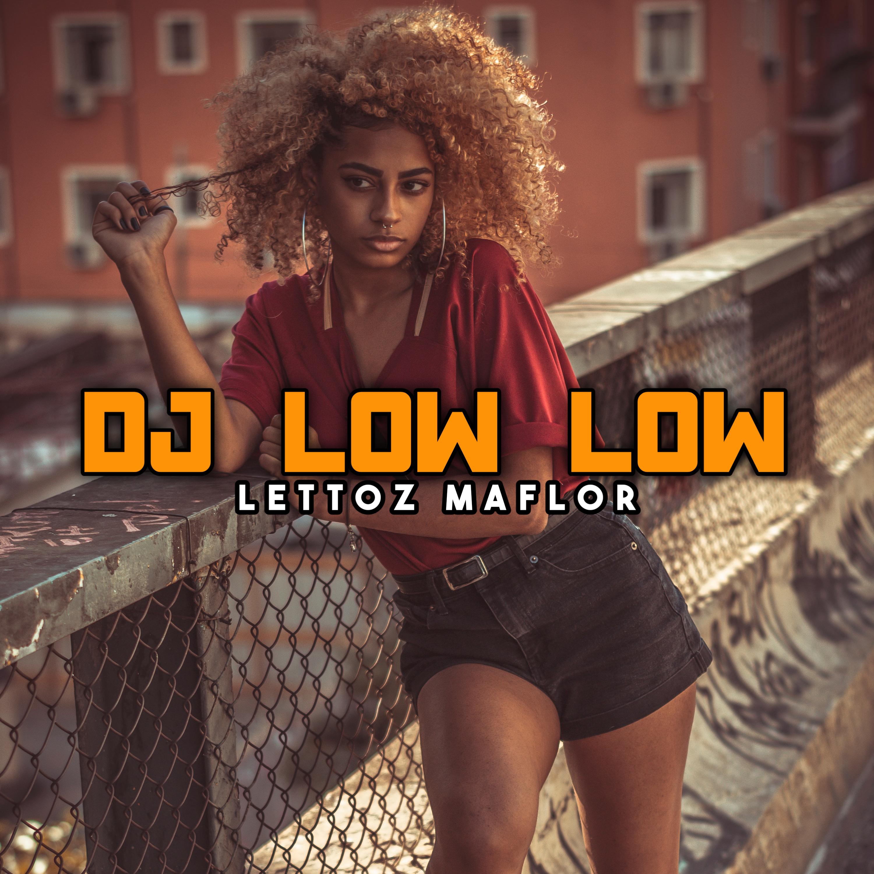 Постер альбома DJ LOW LOW