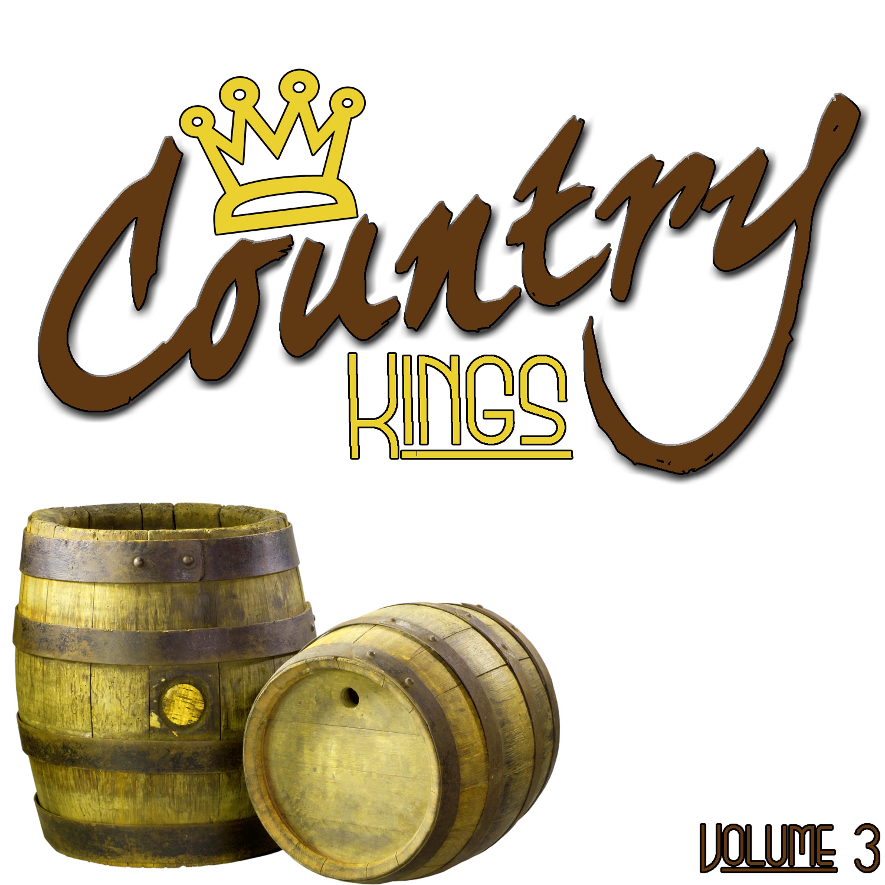 Постер альбома Country Kings Volume 3
