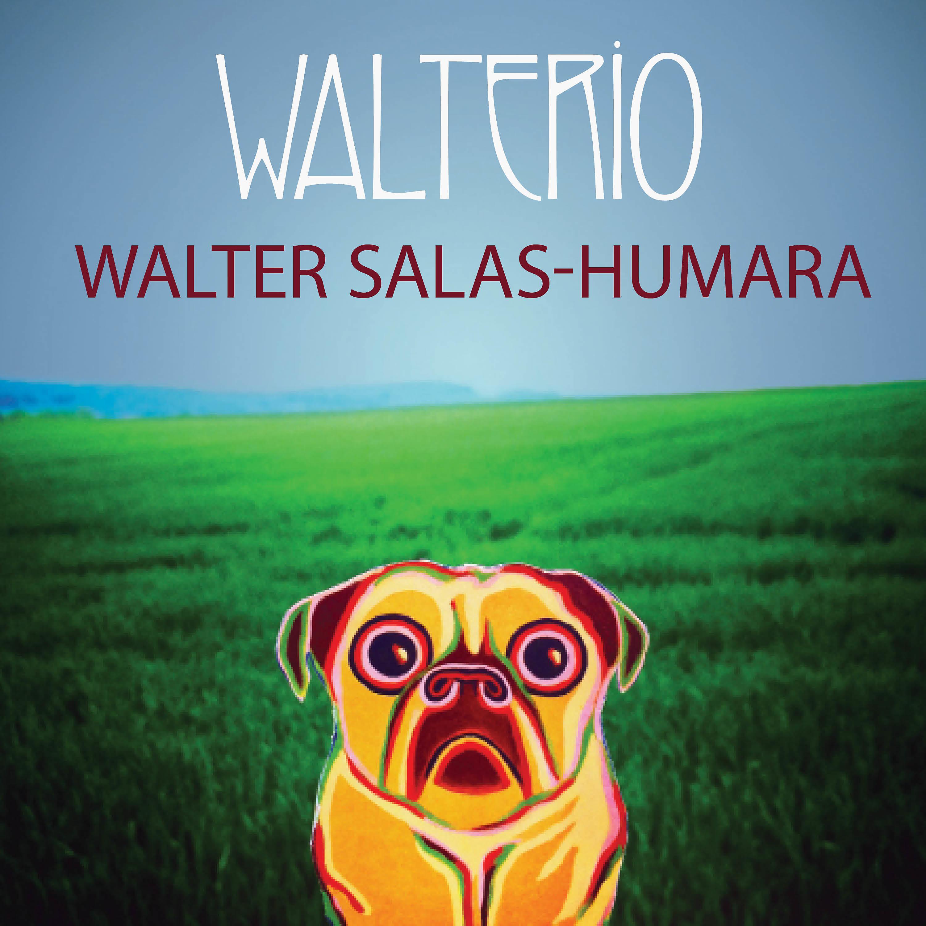 Постер альбома Walterio