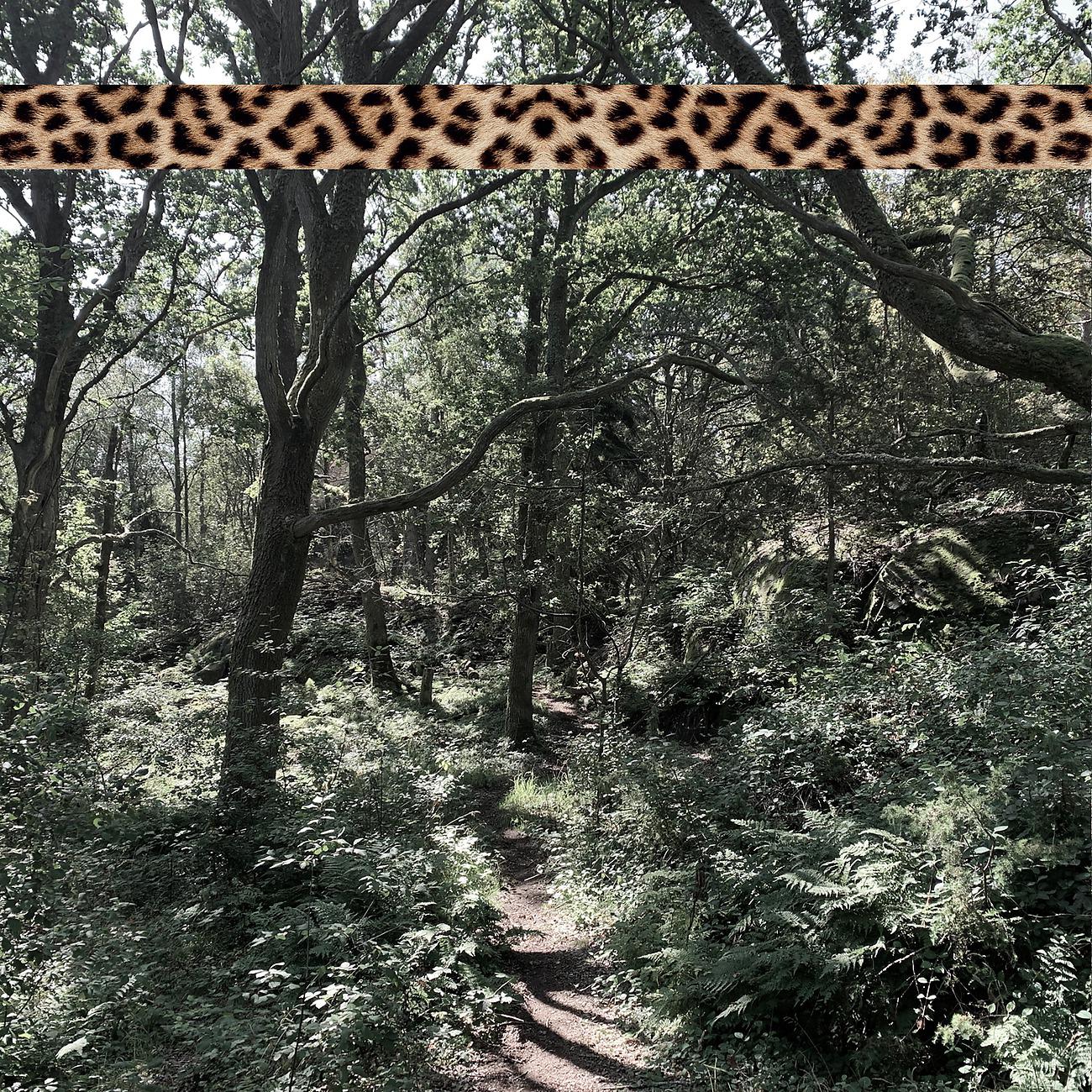 Постер альбома Leopard Tape 002