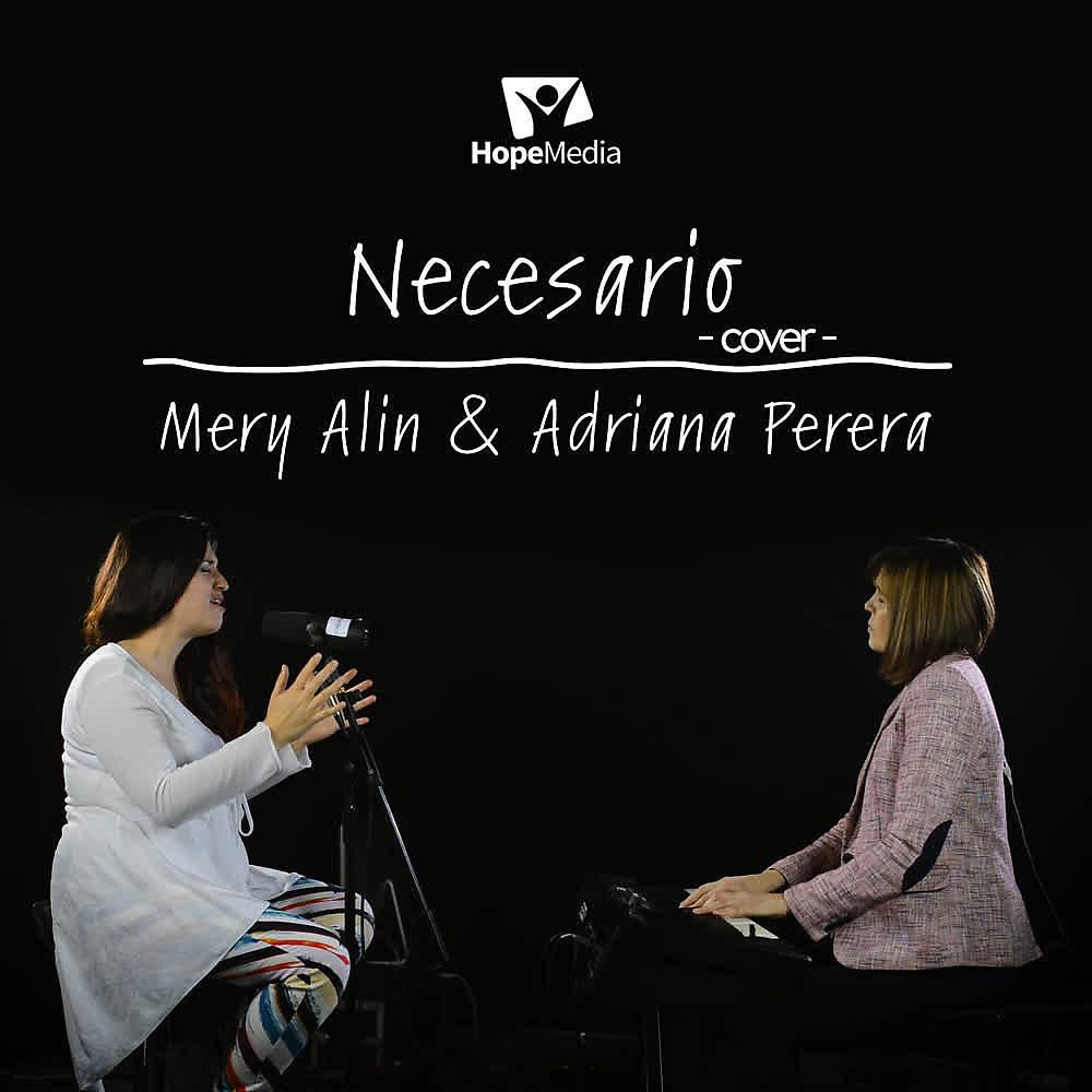 Постер альбома Necesario (Cover)
