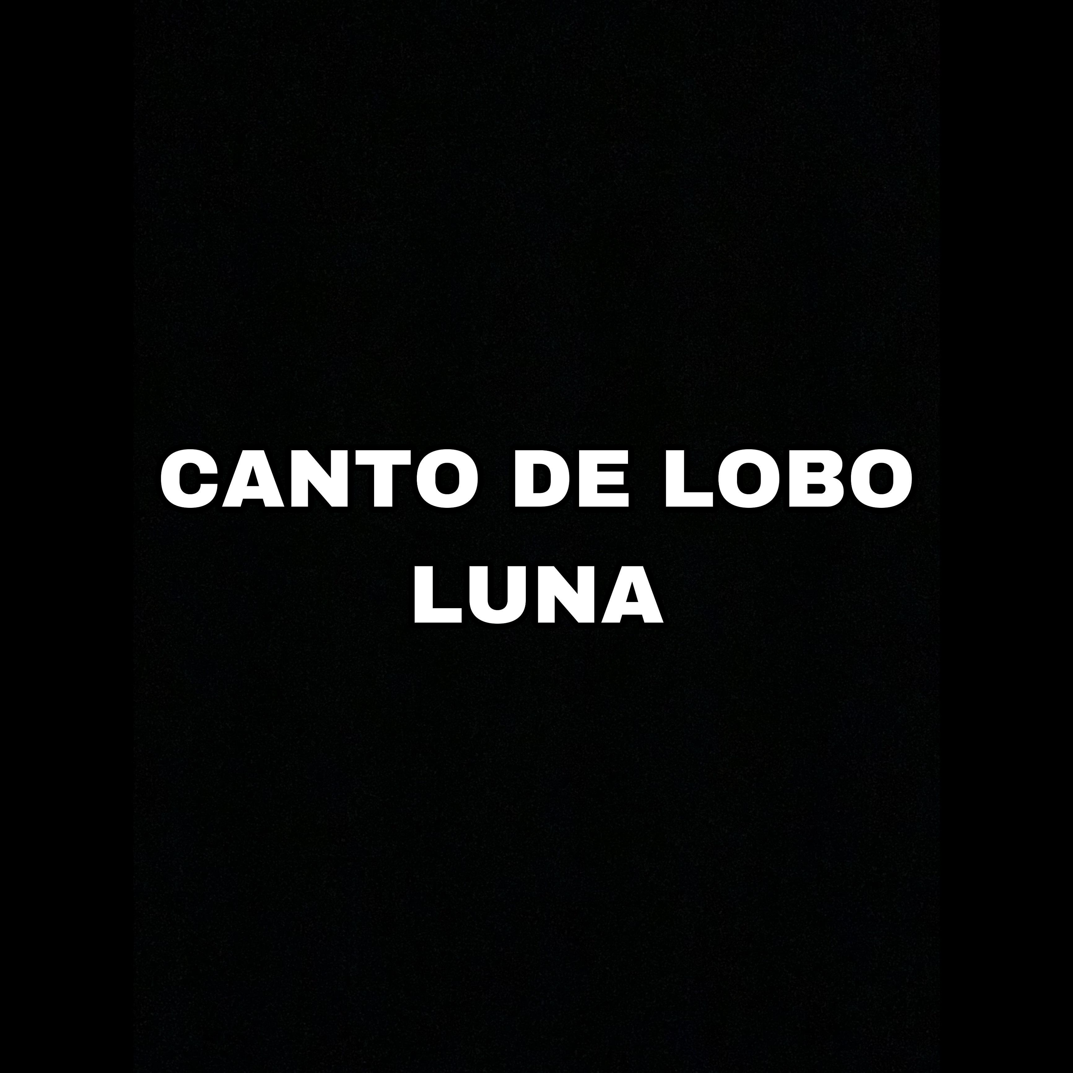 Постер альбома Canto de Lobo Luna