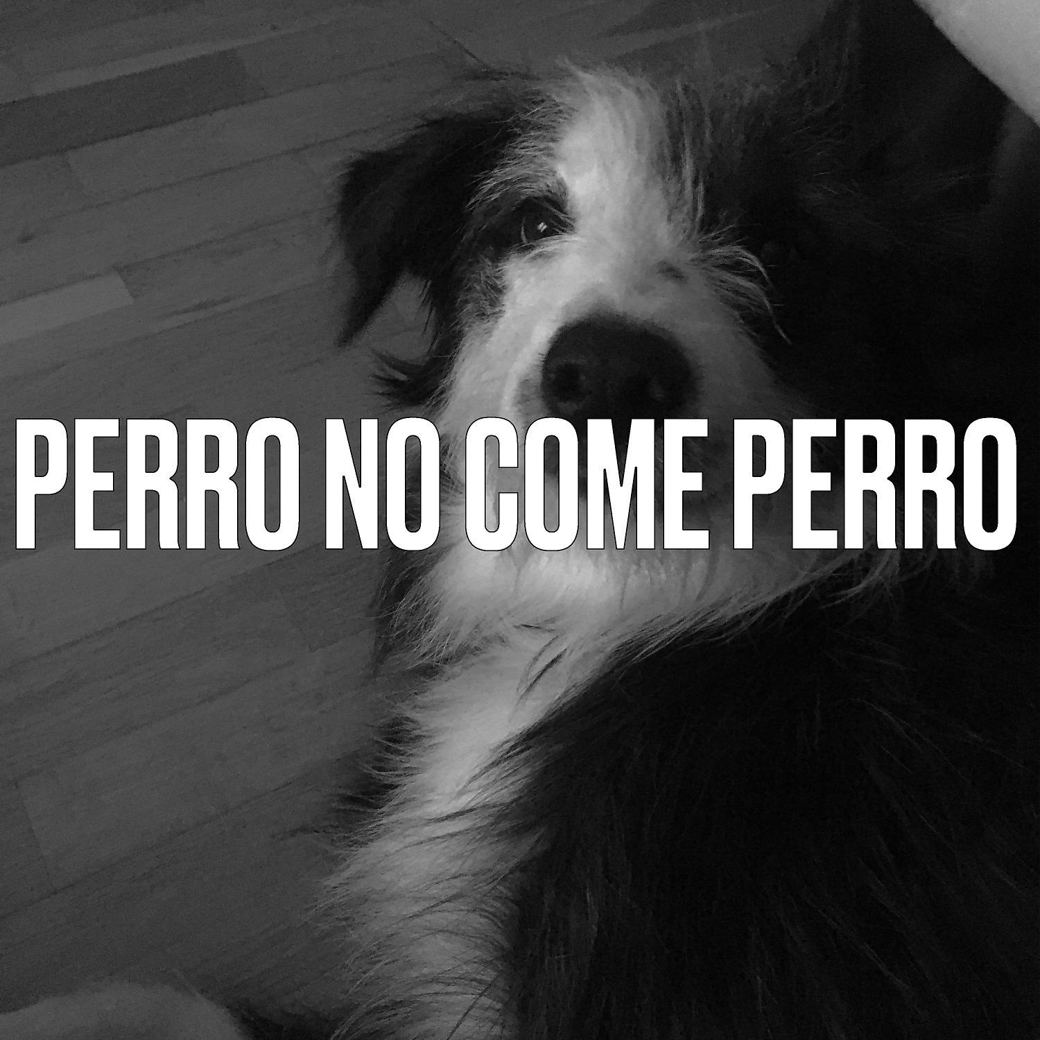 Постер альбома Perro no come perro