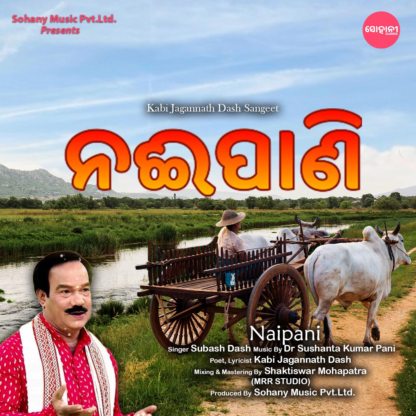 Постер альбома Naipani