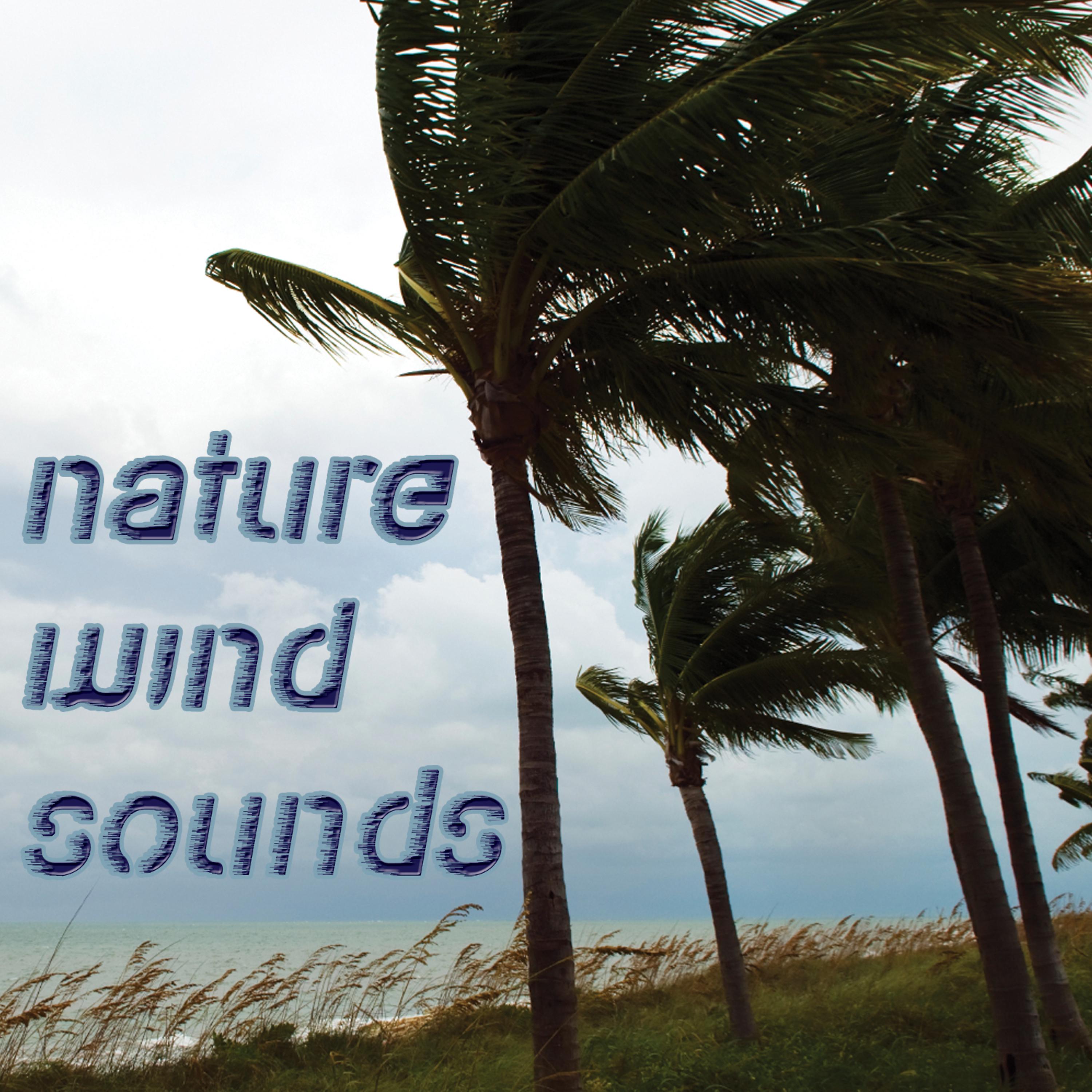 Постер альбома Nature Wind Sounds