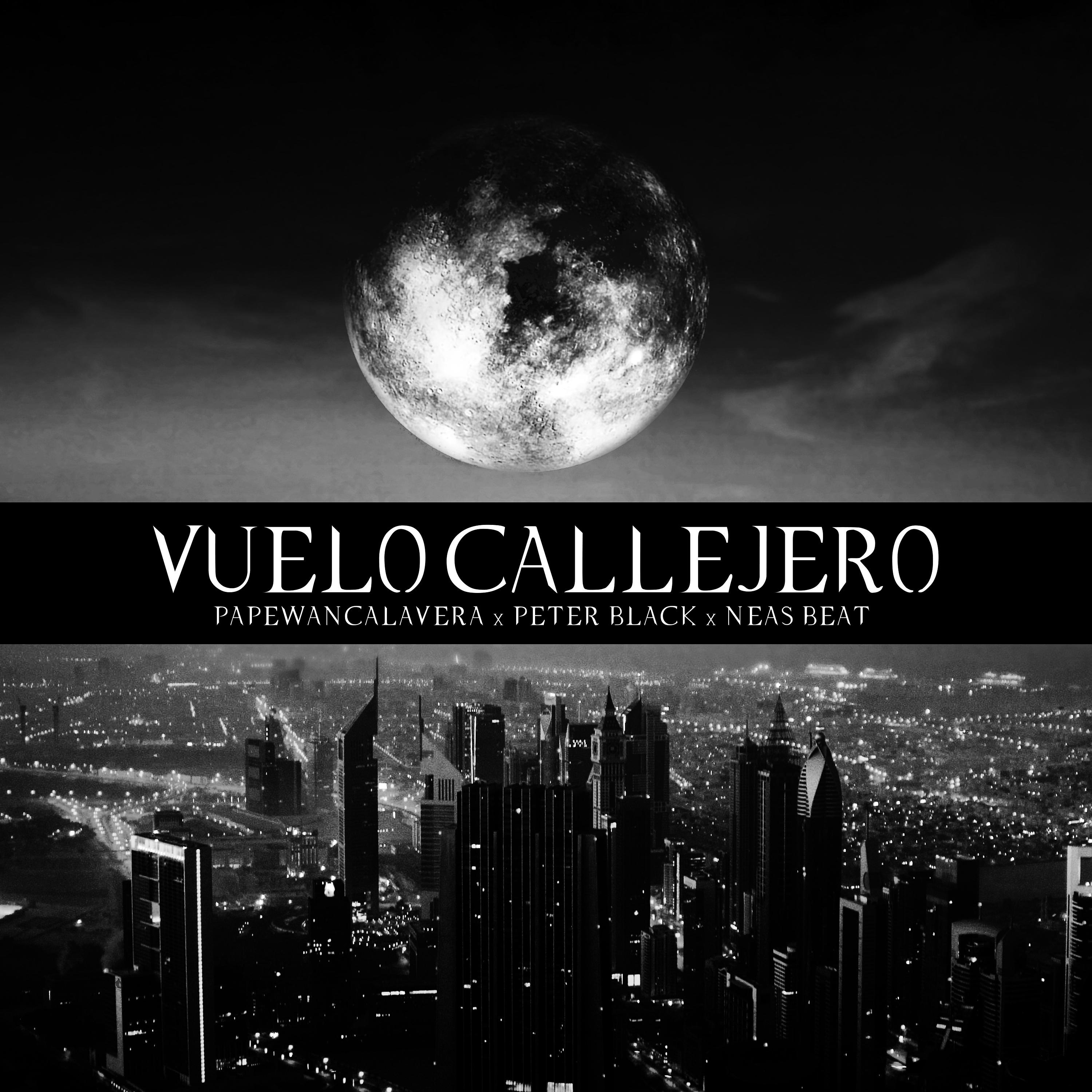 Постер альбома Vuelo Callejero