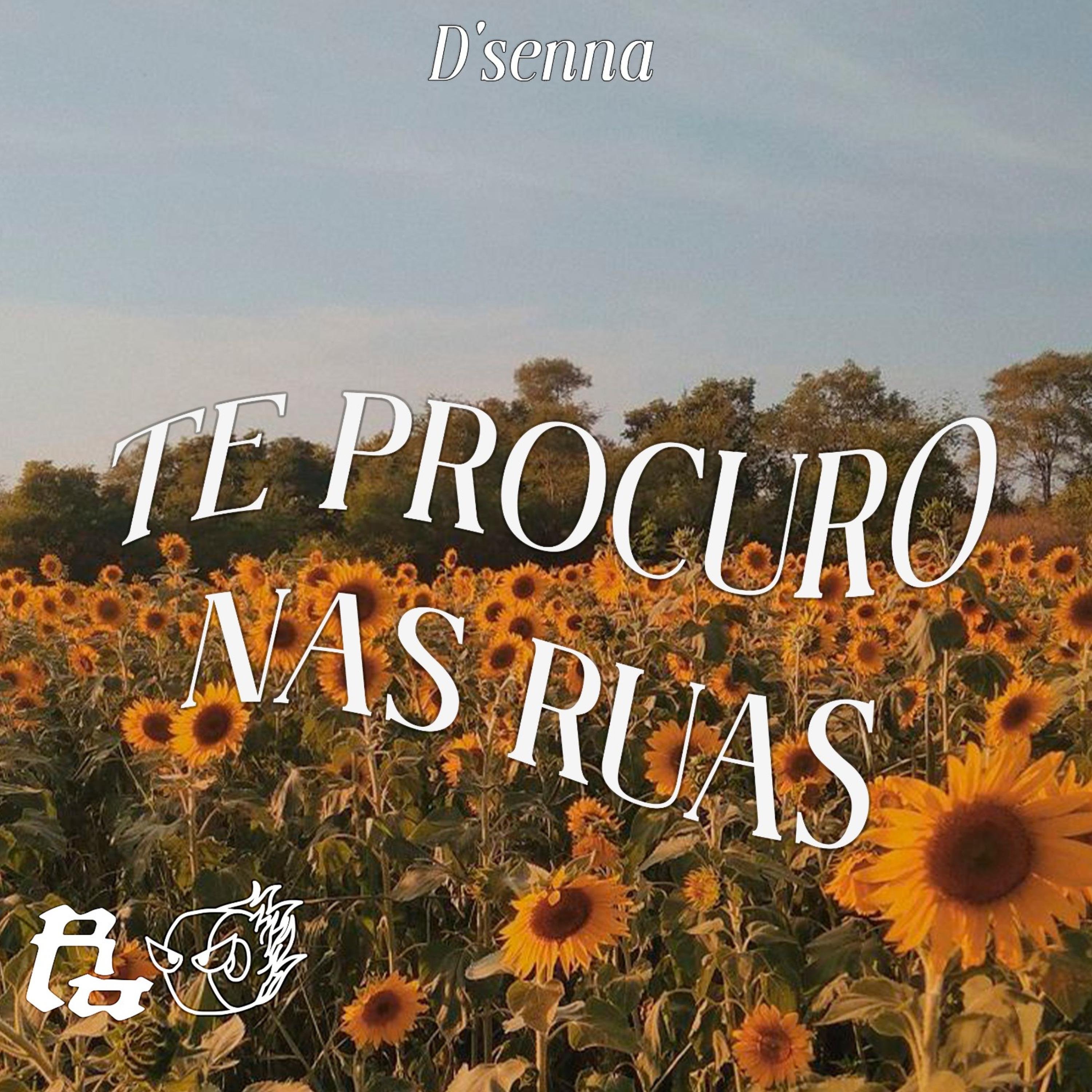 Постер альбома Te Procuro nas Ruas