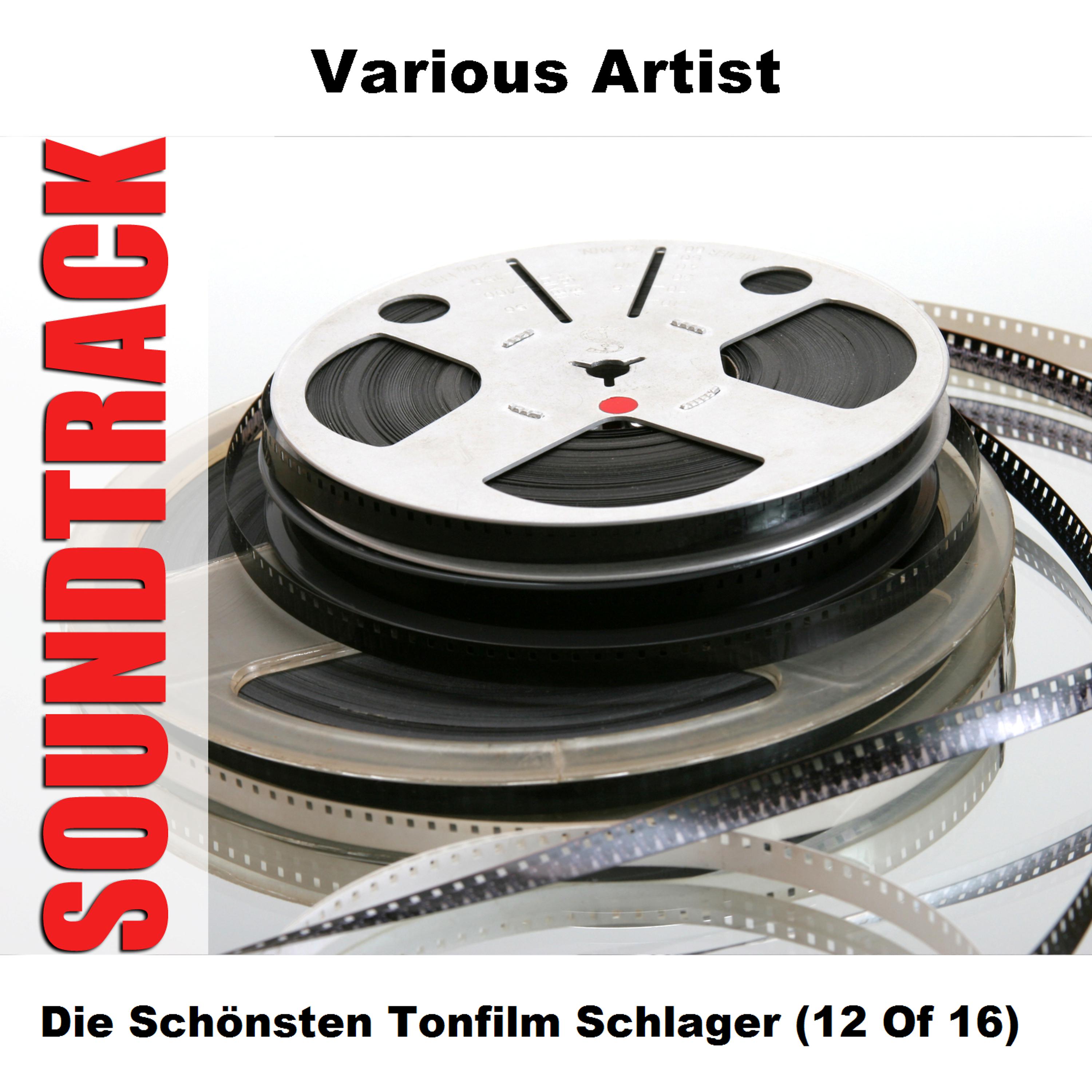 Постер альбома Die Schönsten Tonfilm Schlager (12 Of 16)
