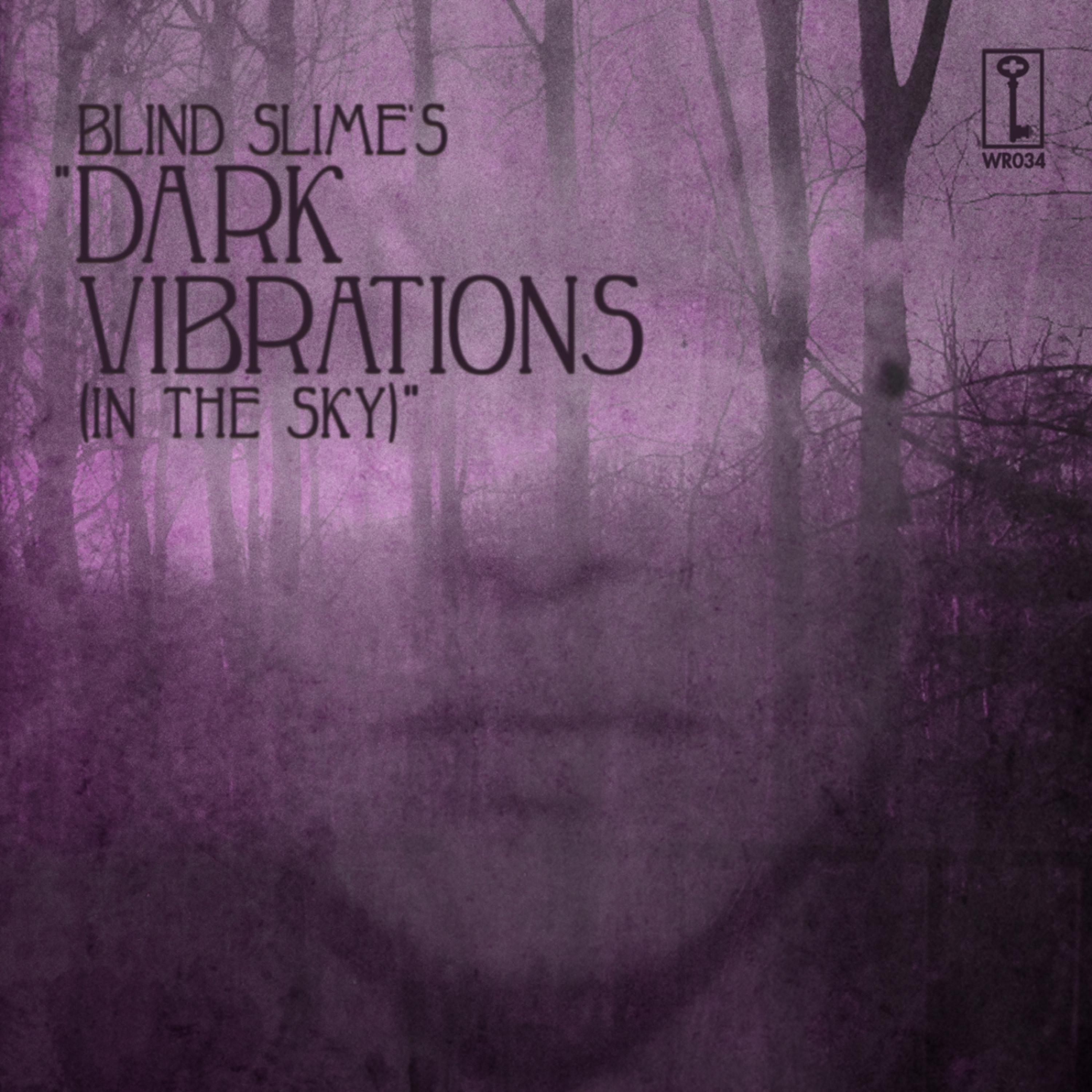 Постер альбома Dark Vibrations (In The Sky)