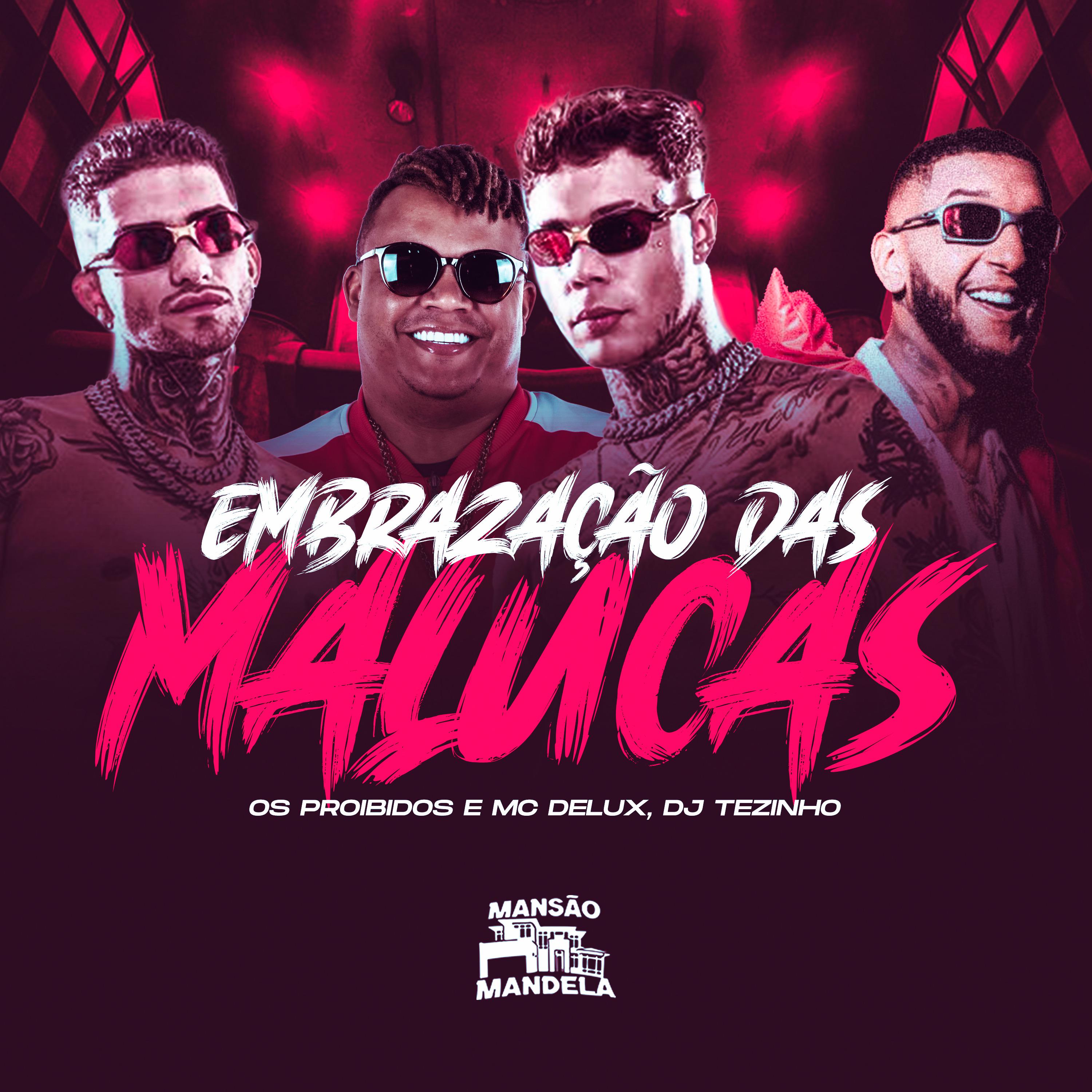 Постер альбома Embrazação das Malucas