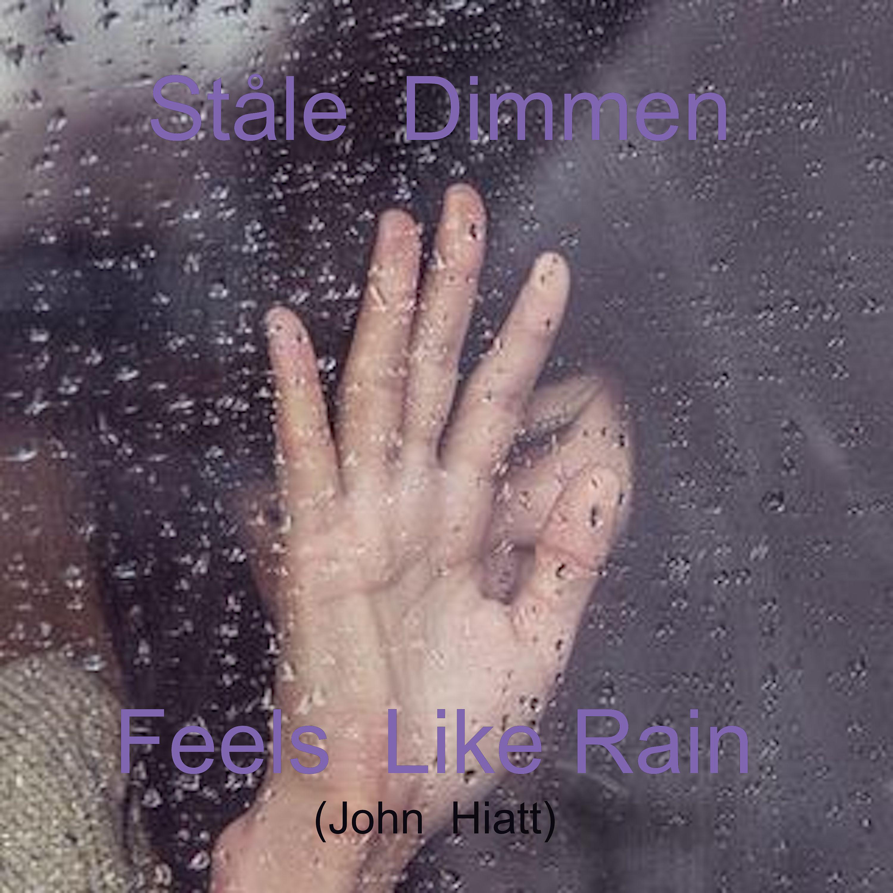 Постер альбома Feels Like Rain