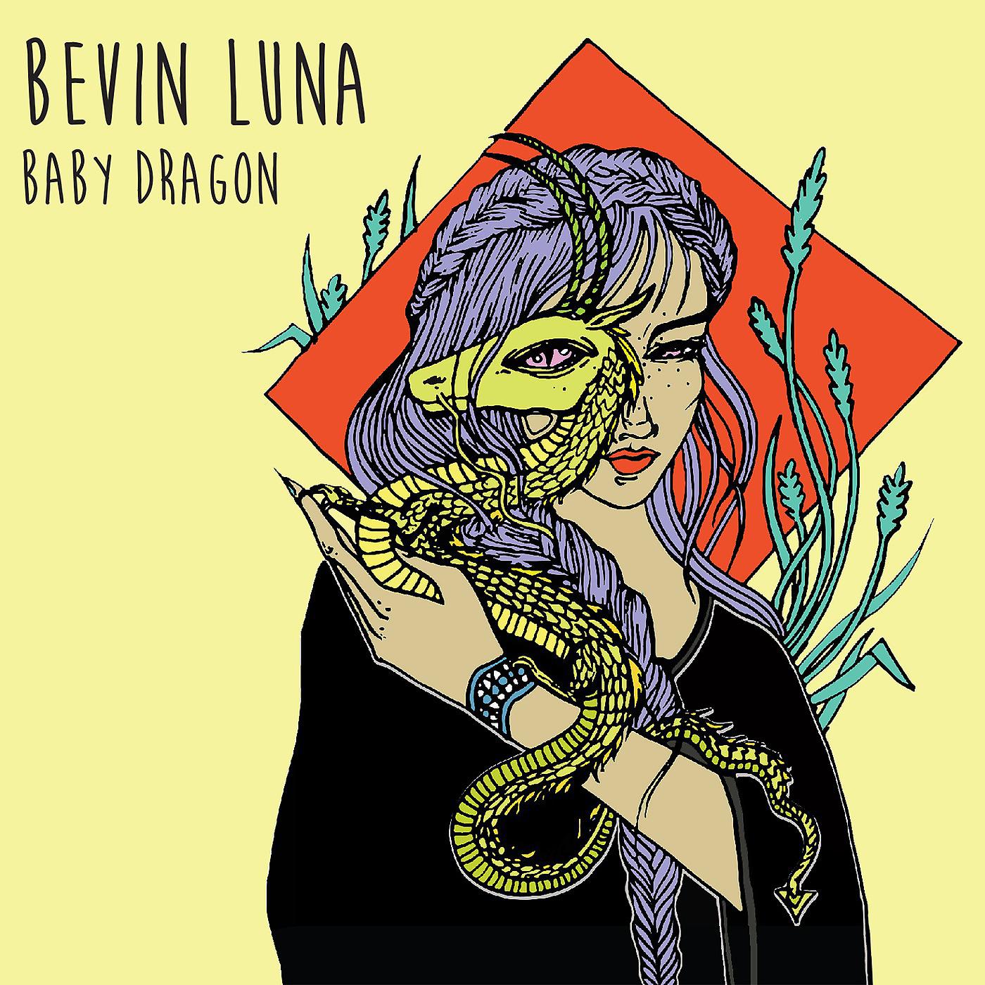Постер альбома Baby Dragon