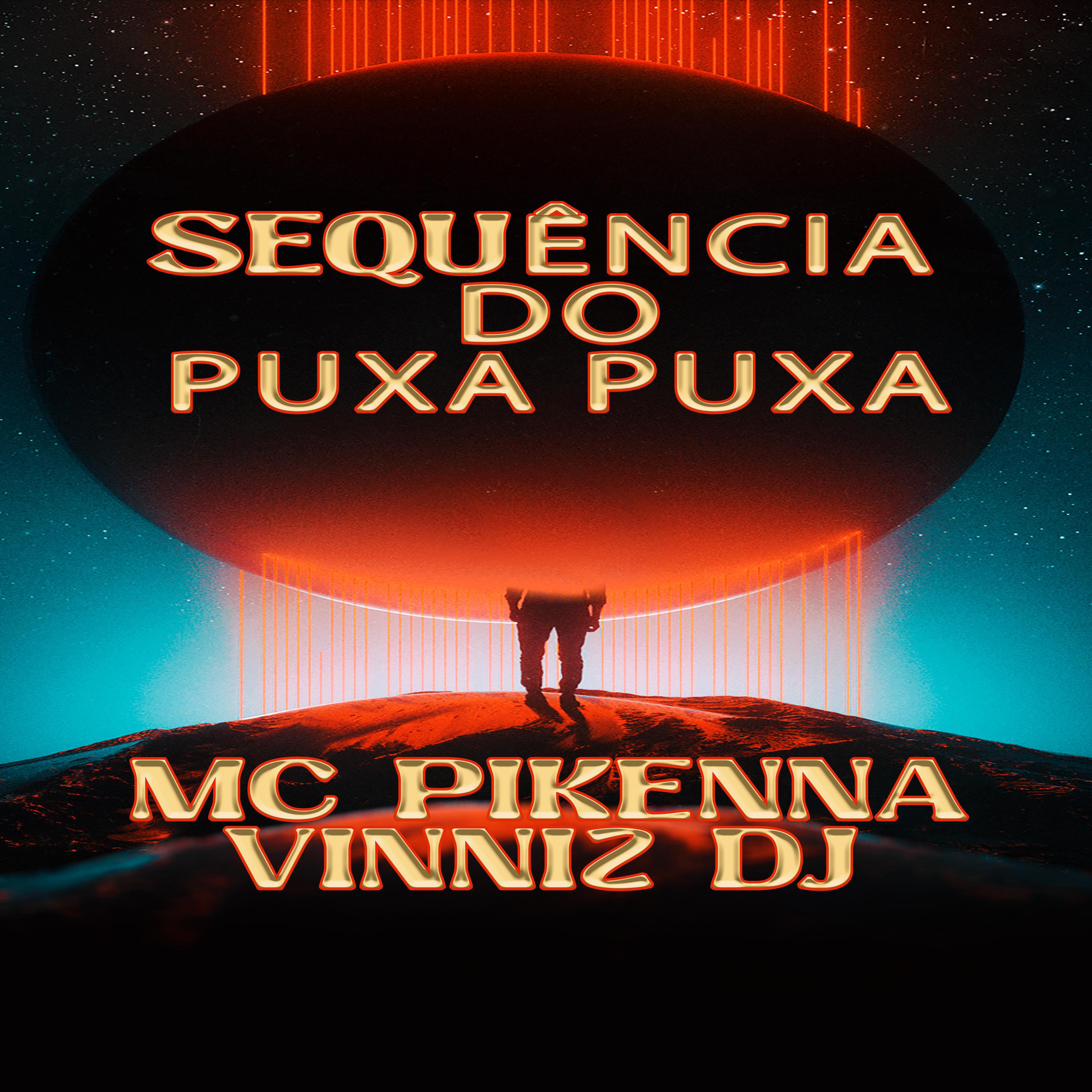 Постер альбома Sequência do Puxa Puxa