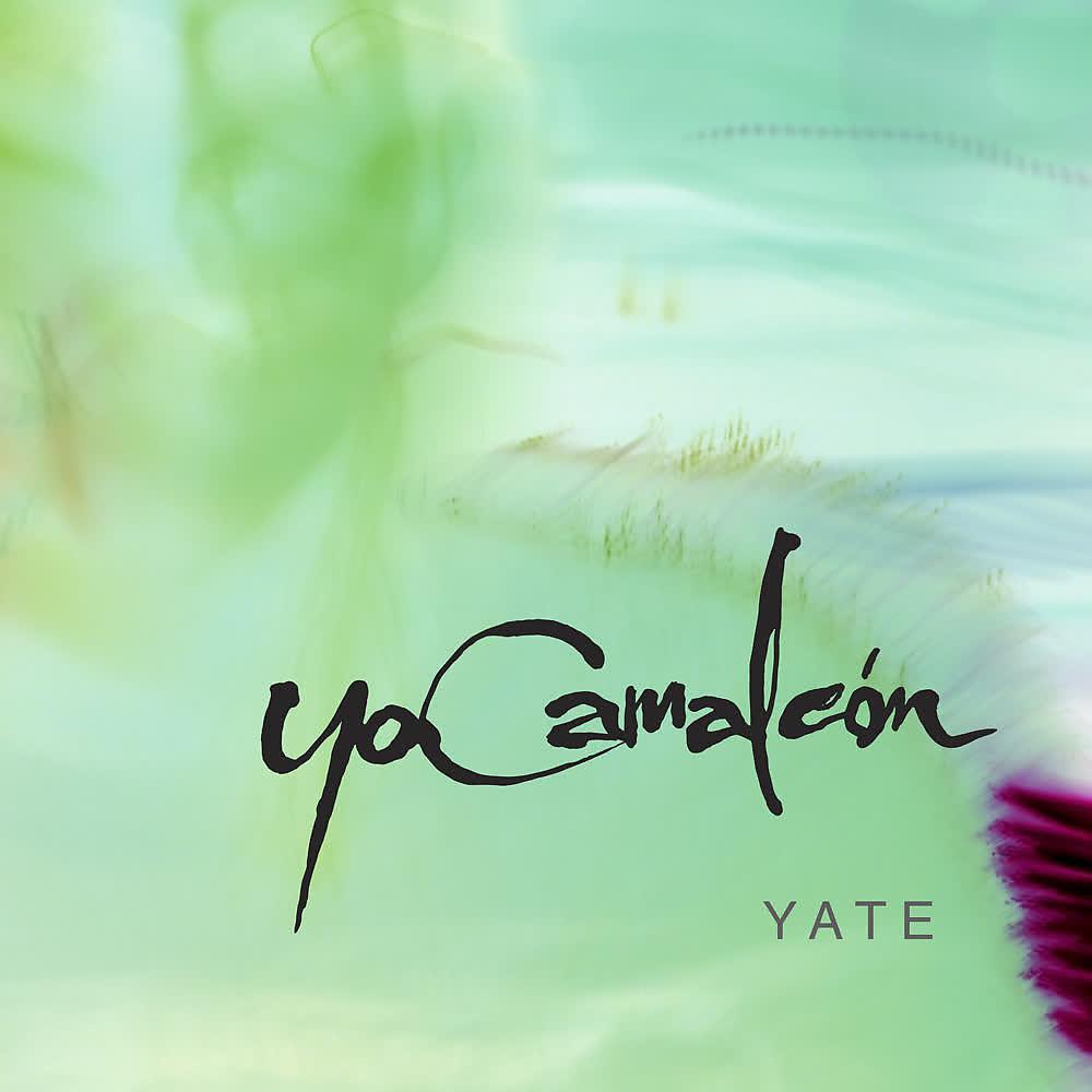Постер альбома Yate
