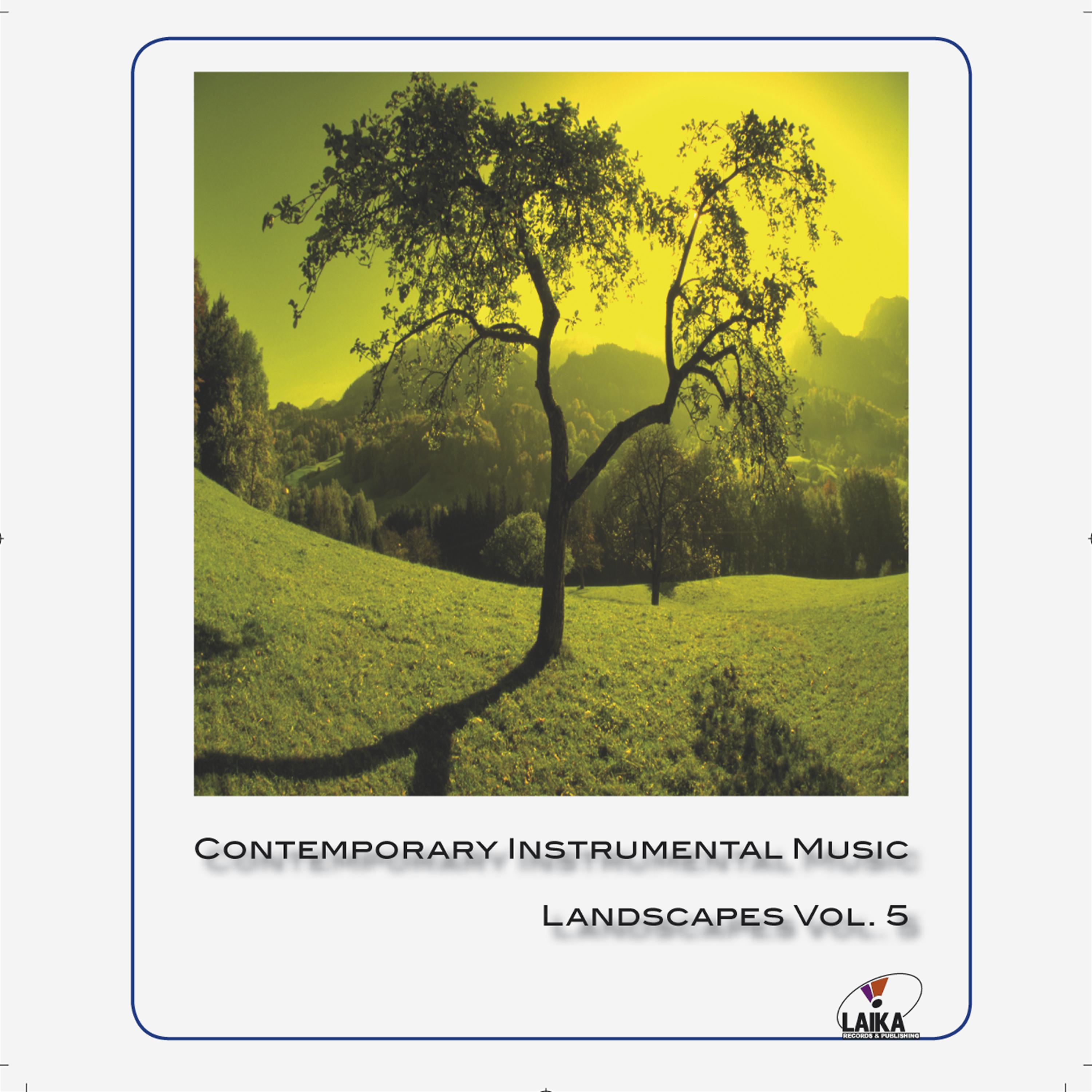 Постер альбома Contemporary Instrumental Music Vol.5