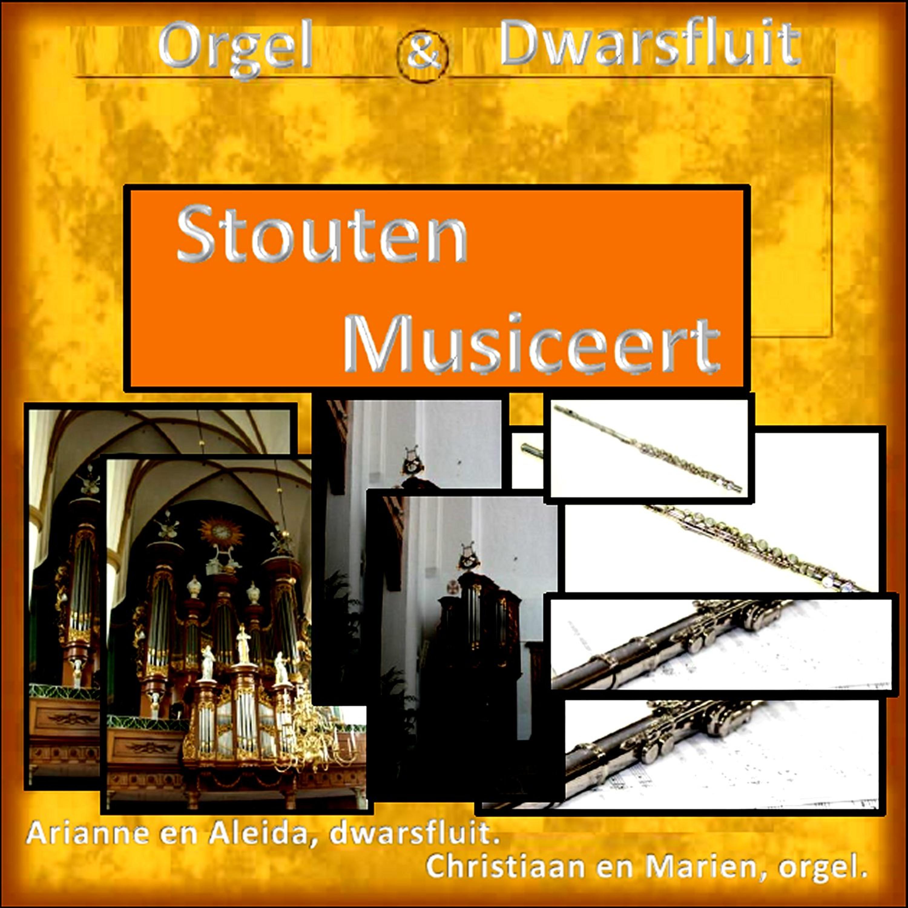 Постер альбома Stouten Musiceert