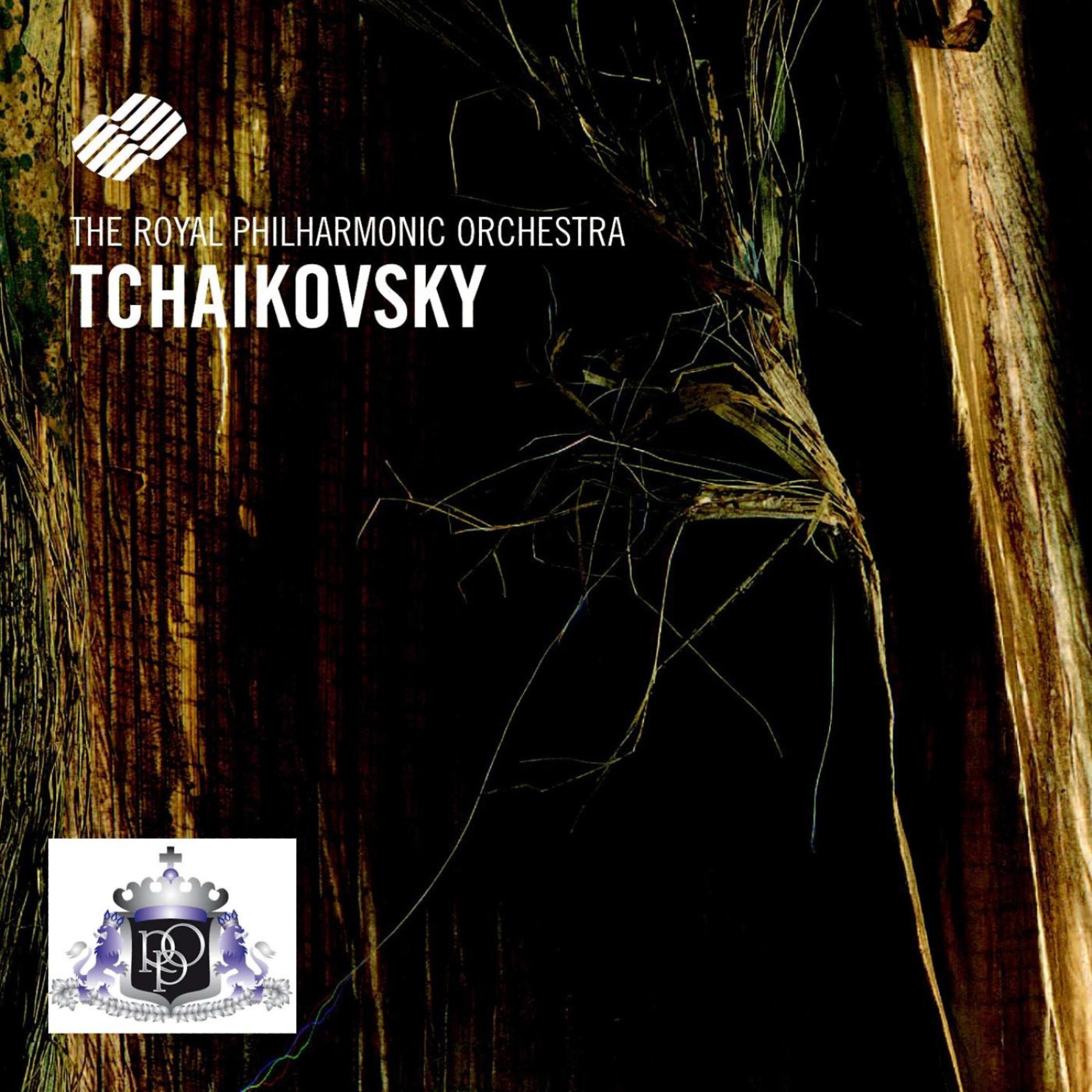 Постер альбома Peter Iljitsch Tschaikowsky