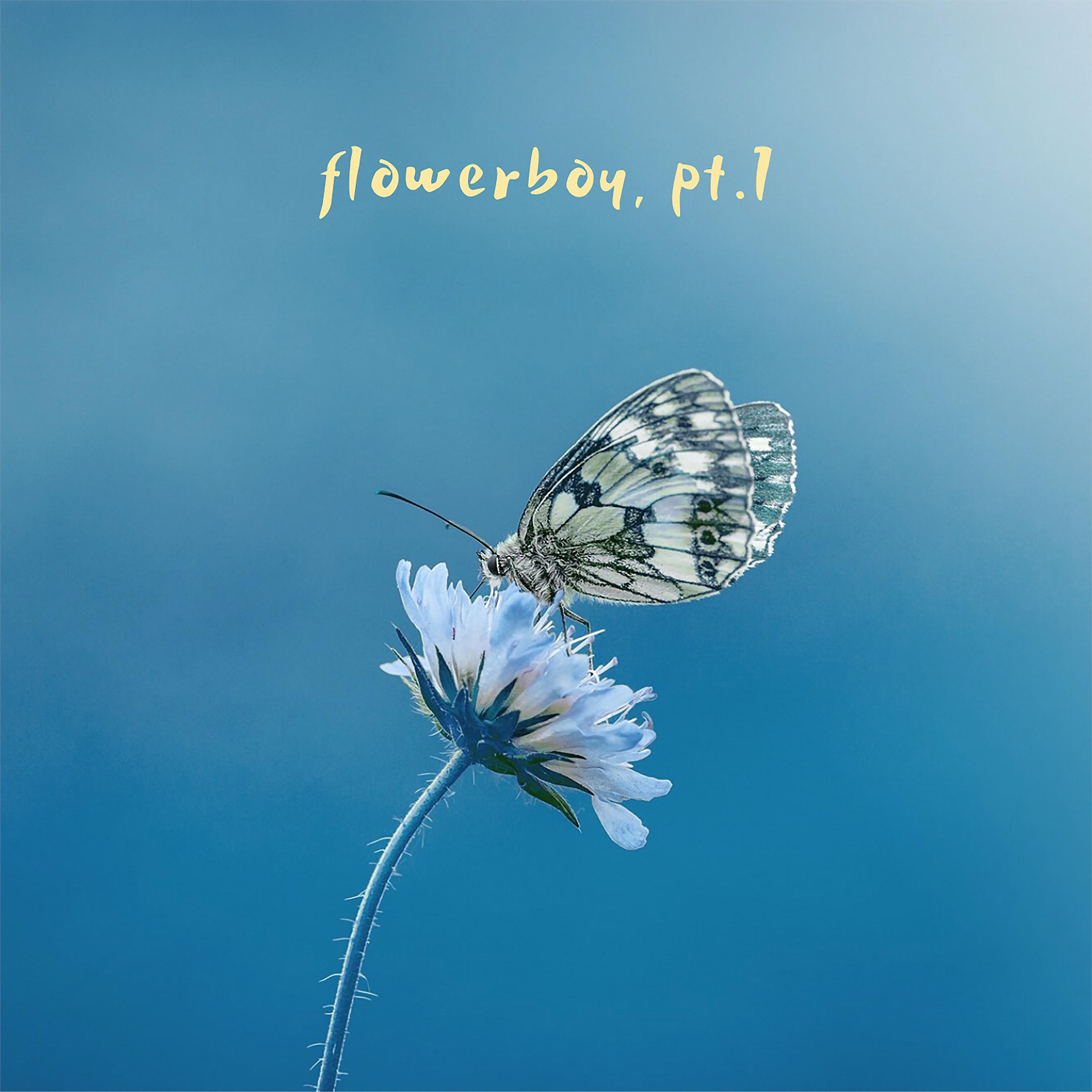 Постер альбома Flowerboy, Pt.1