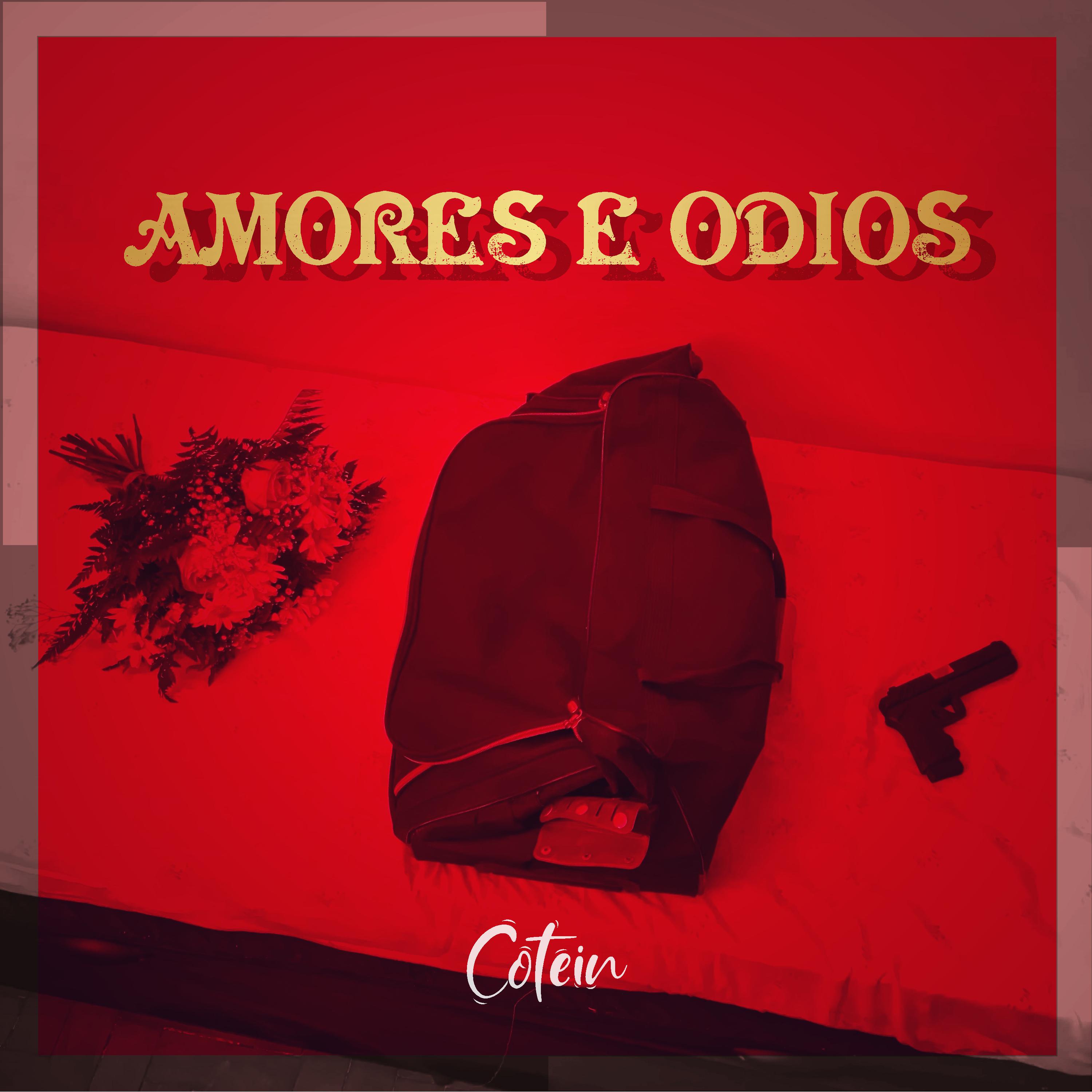 Постер альбома Amores e Ódios