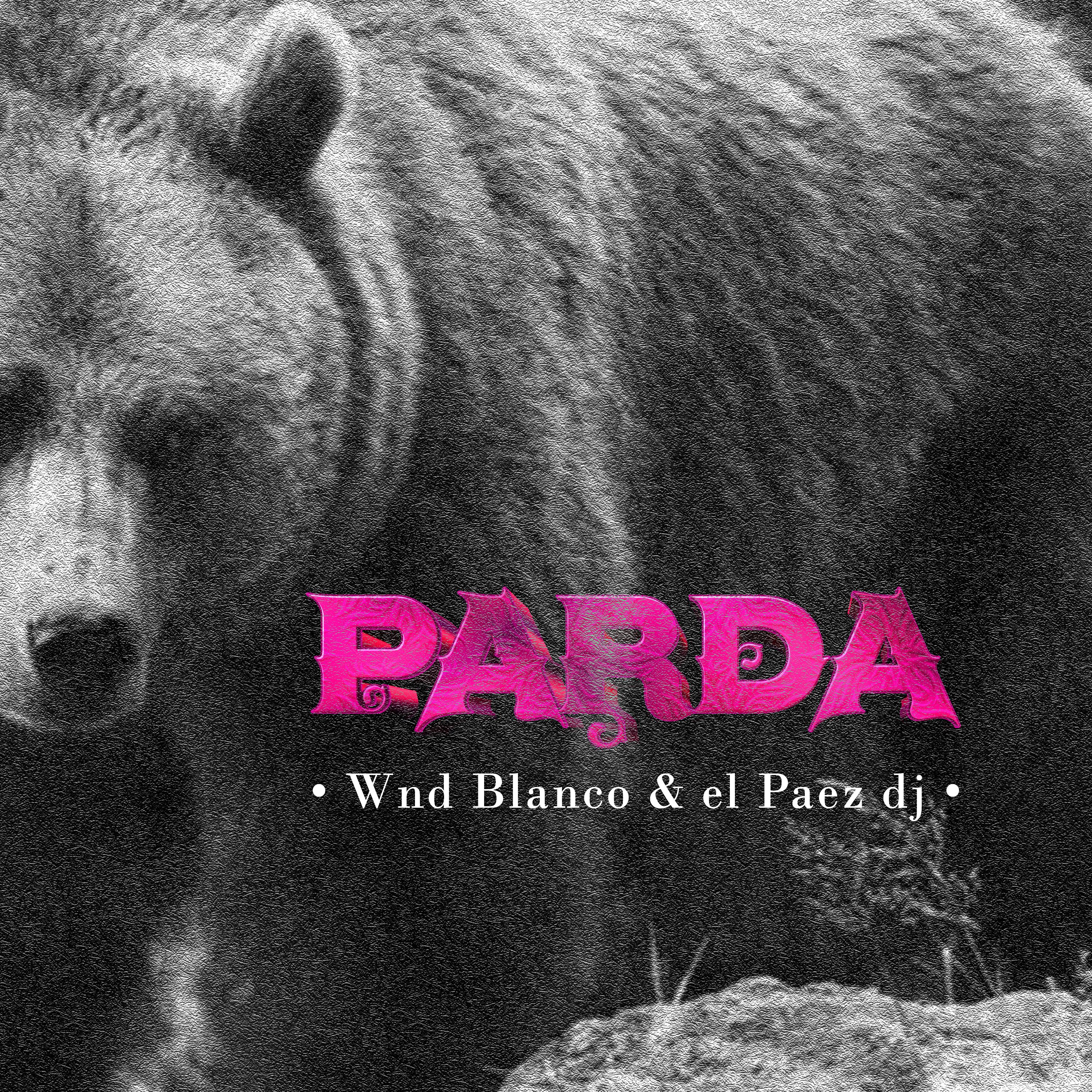 Постер альбома Parda