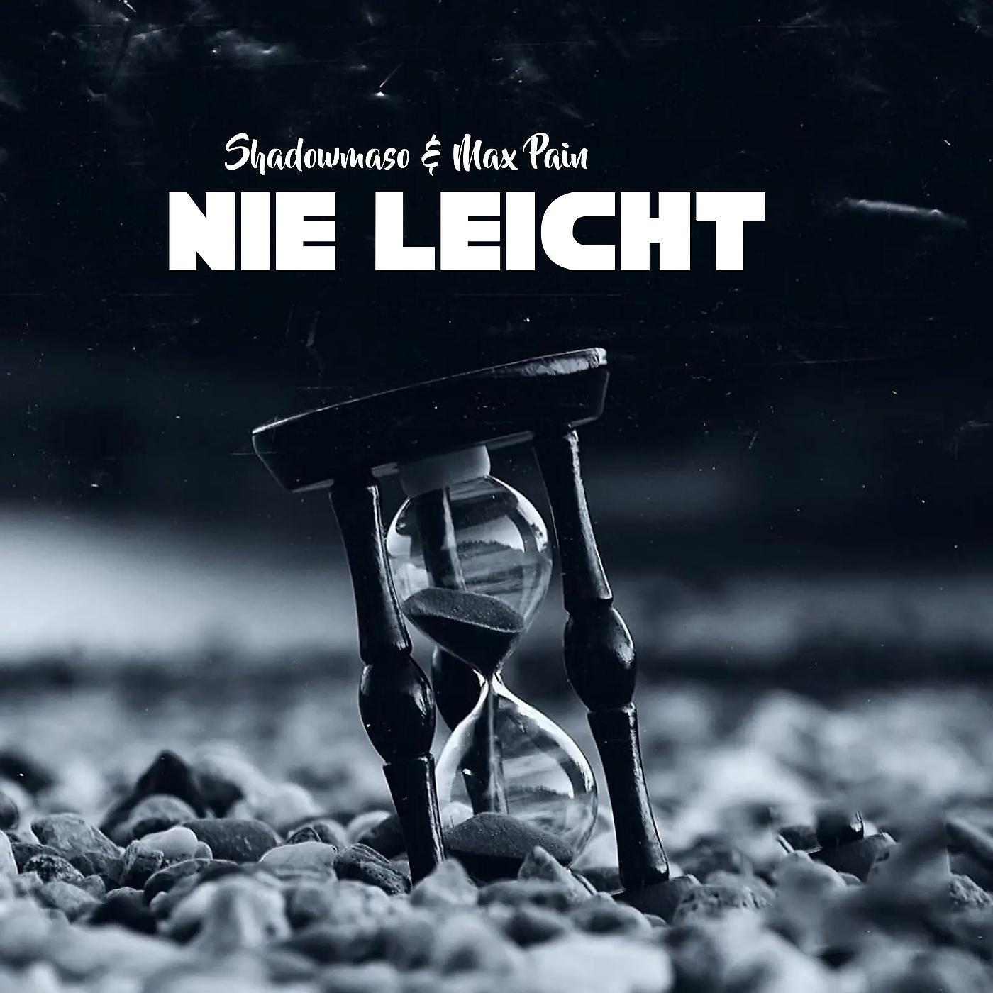 Постер альбома Nie Leicht