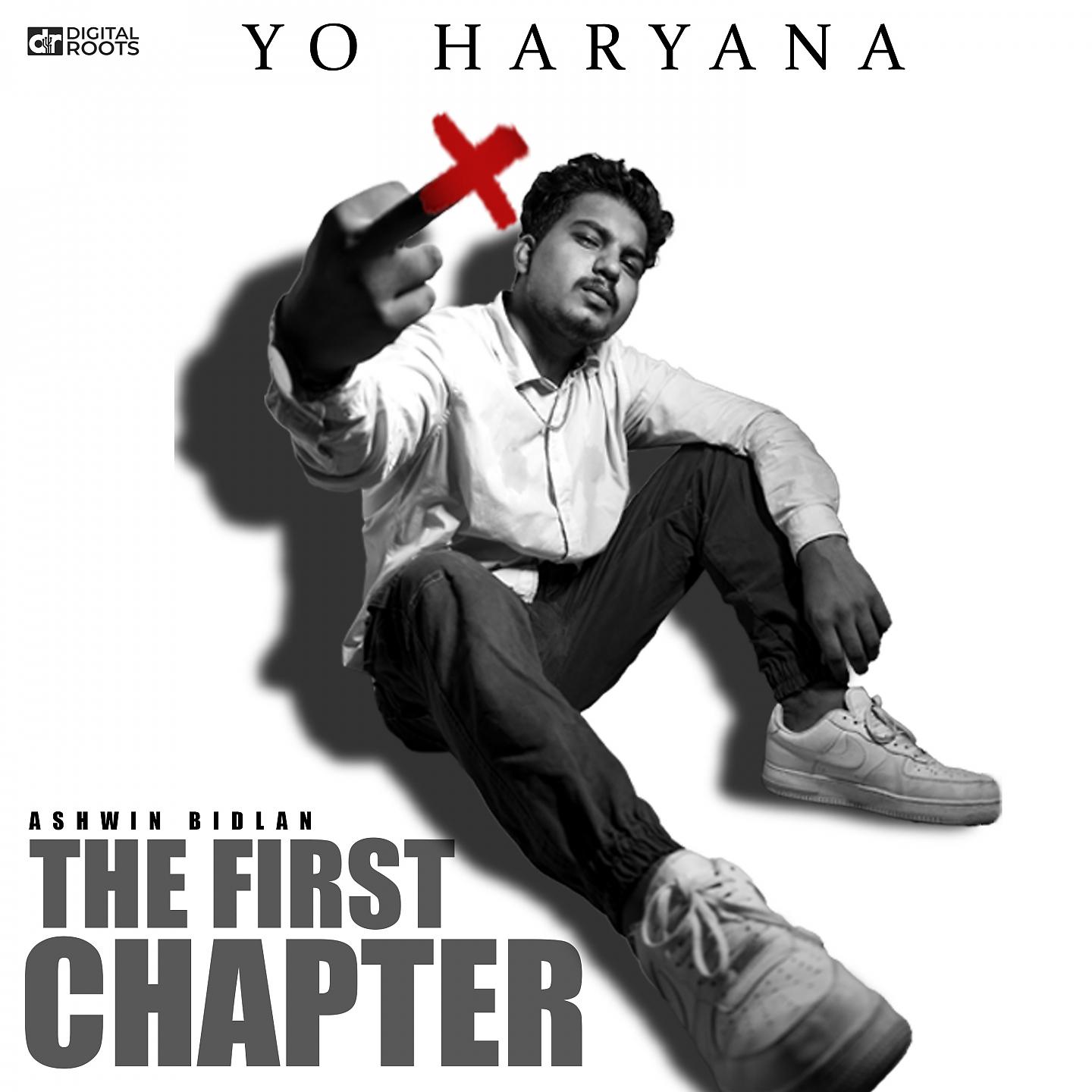 Постер альбома Yo Haryana