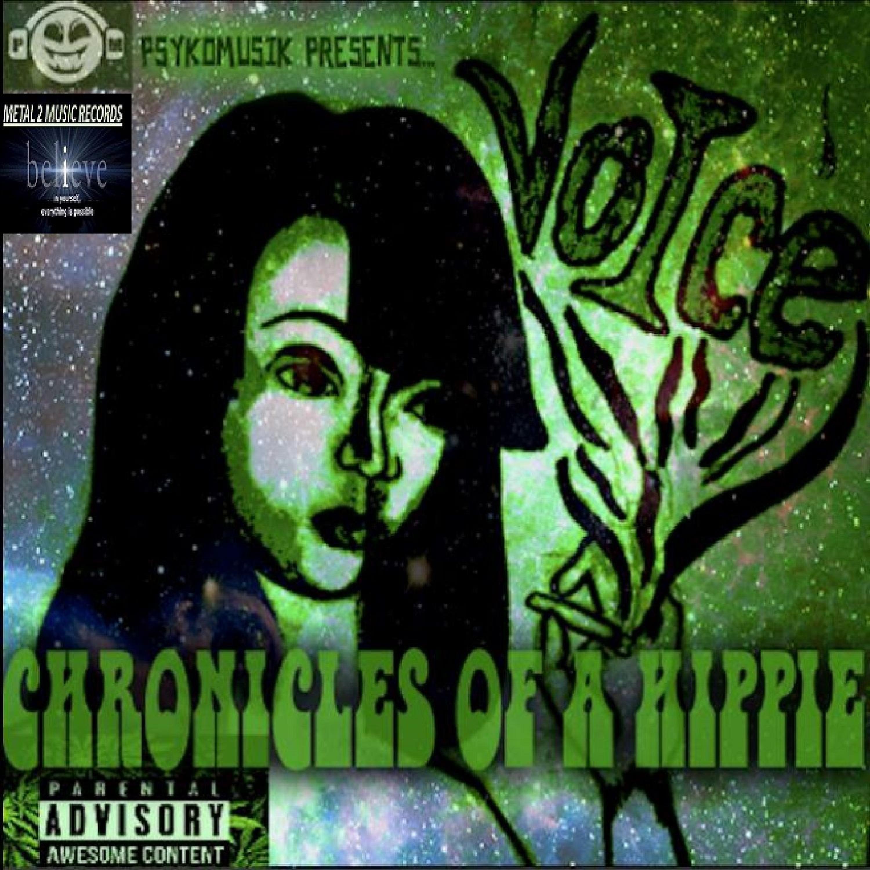 Постер альбома Chronicles of a Hippie Vol. 4