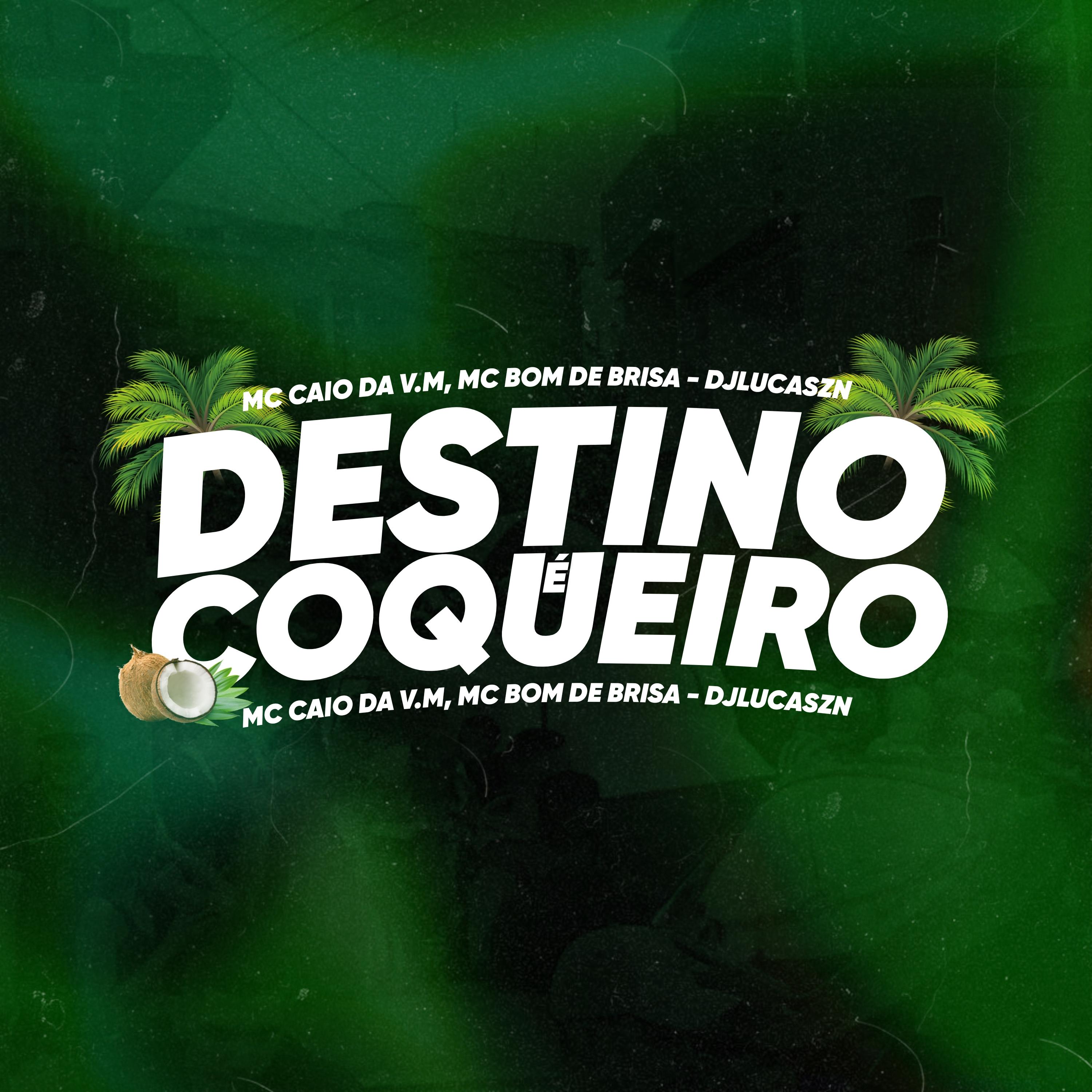 Постер альбома Destino É Coqueiro