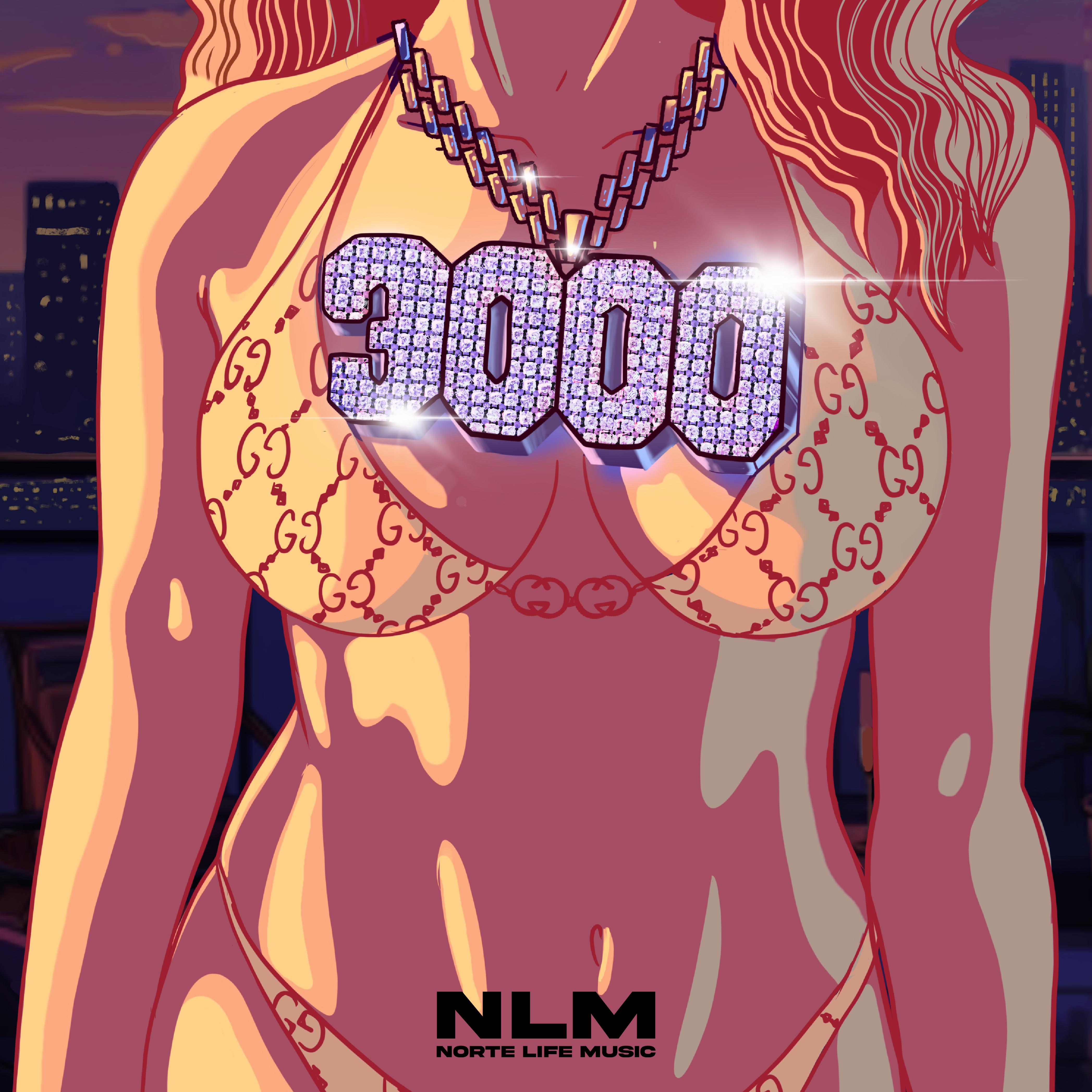 Постер альбома 3000