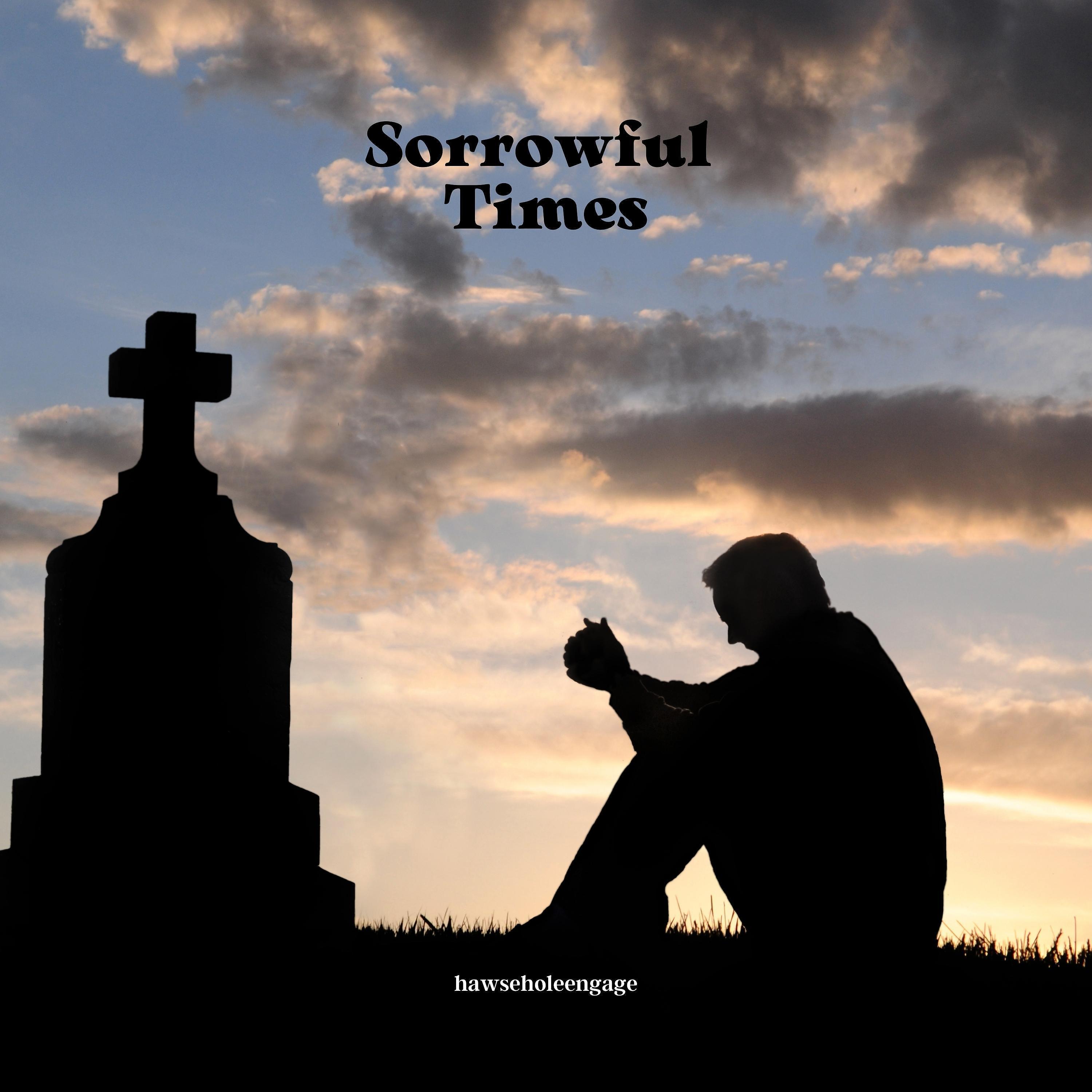 Постер альбома Sorrowful Times