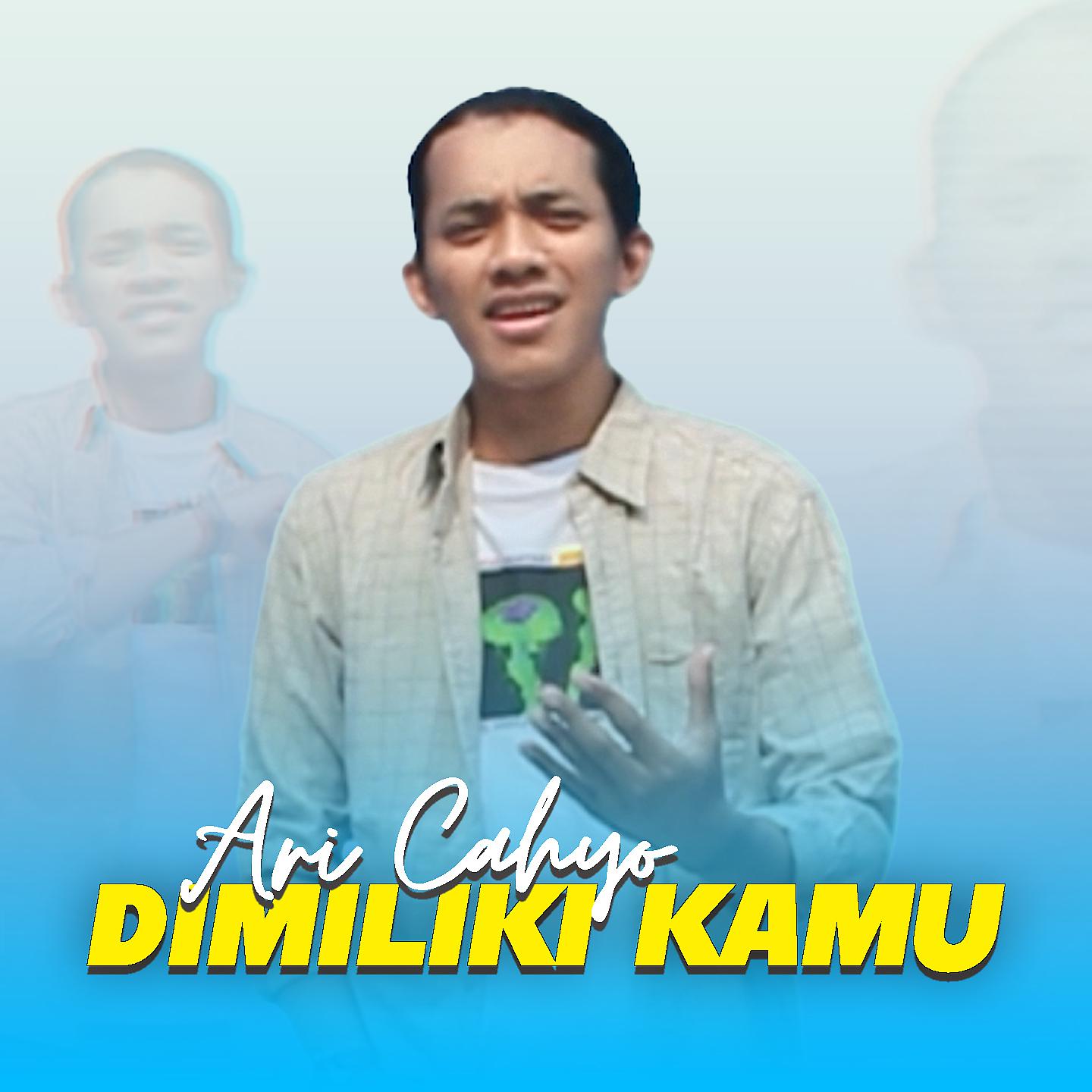 Постер альбома Dimiliki Kamu